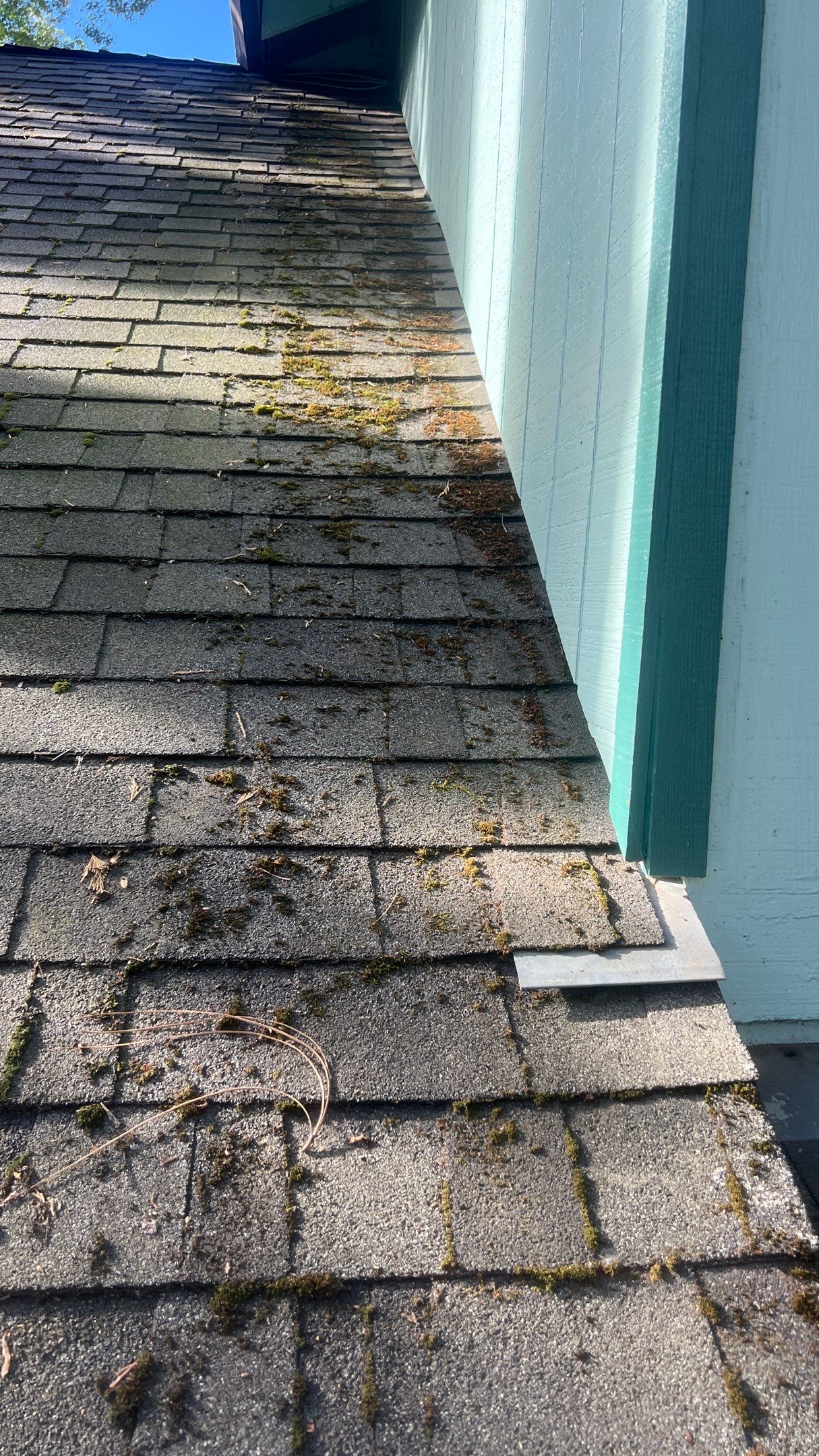 Roof Rejuvenation using Roof Maxx Treatment by Roof Maxx of Folsom