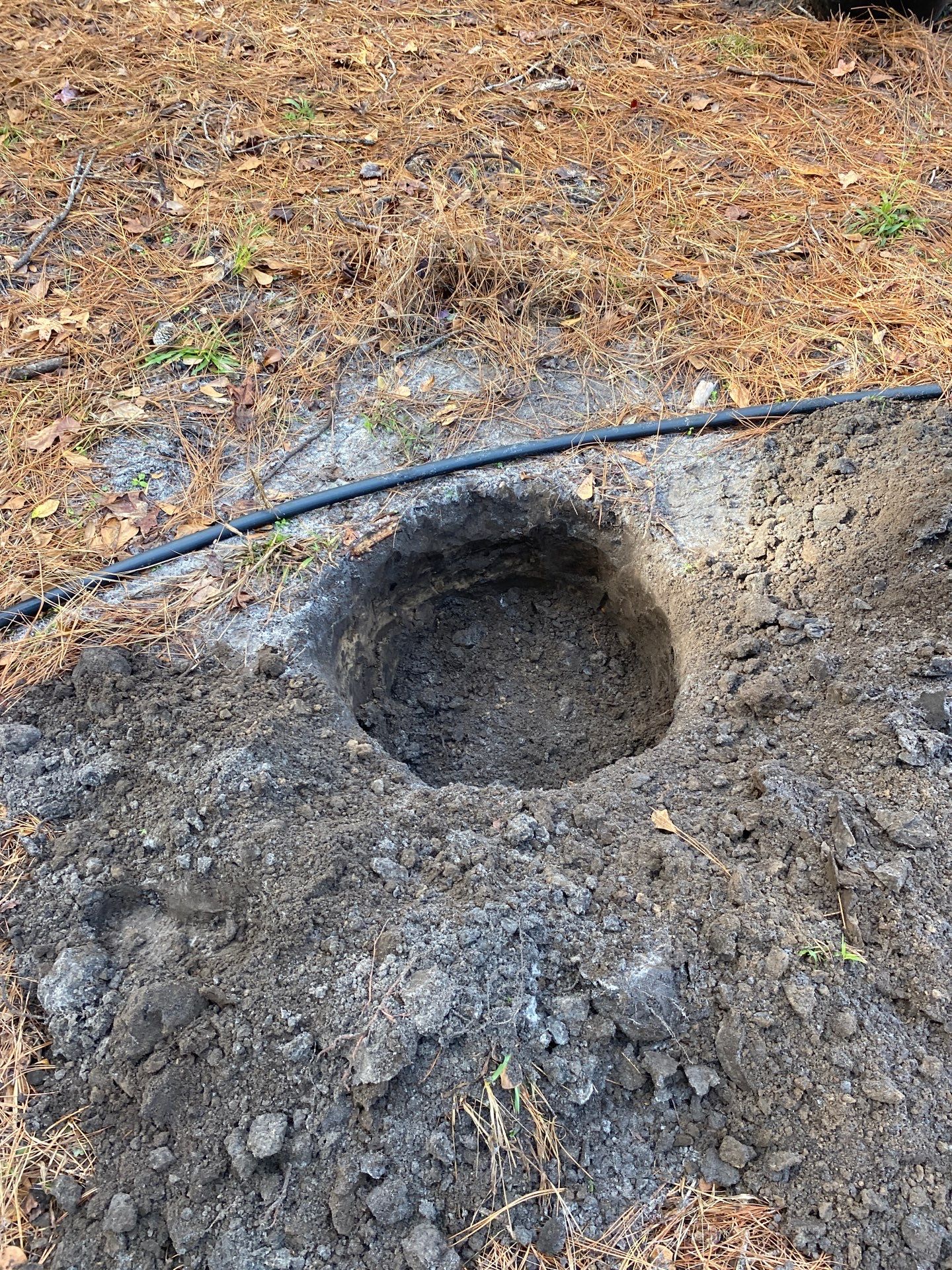 Deerwood Resident | Tree Installation by ProGreen Services