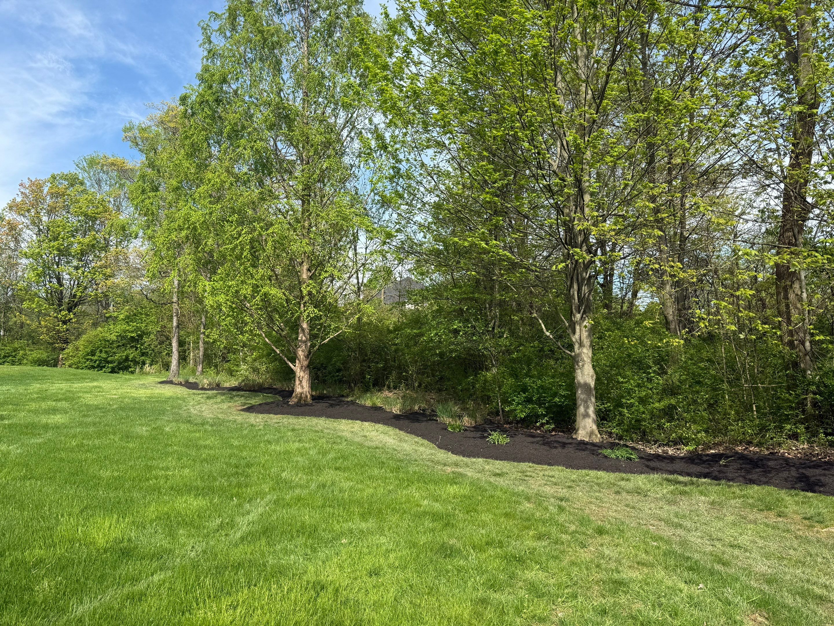 Acreage Maintenance Project by Elm Rose Gardens