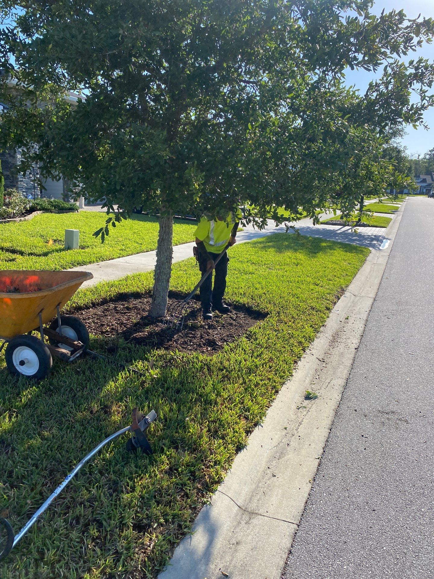 Residential | Clean-up, Sod and Rock Installation by ProGreen Services