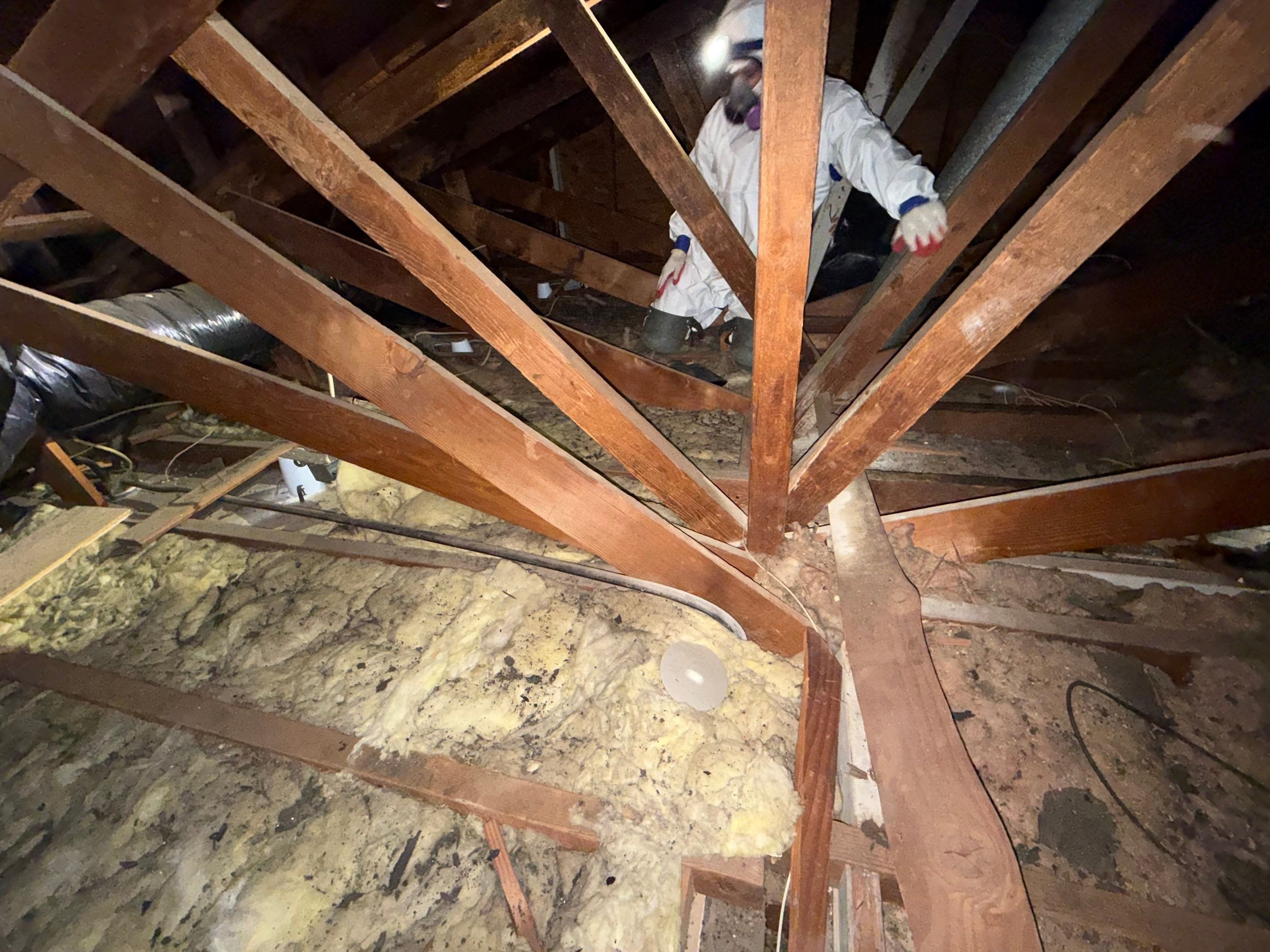 Project in Los Angeles by Insulation Labs