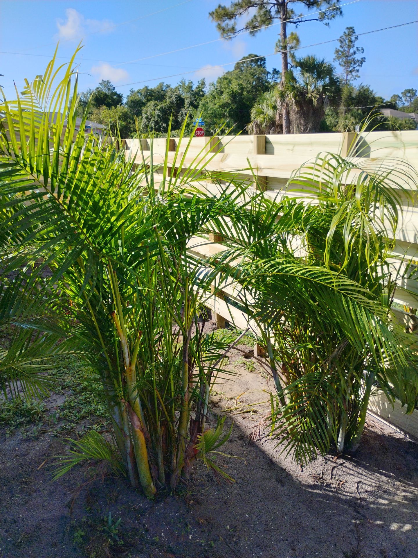 Horizontal Shadowbox Wood in North Port by True Fence LLC
