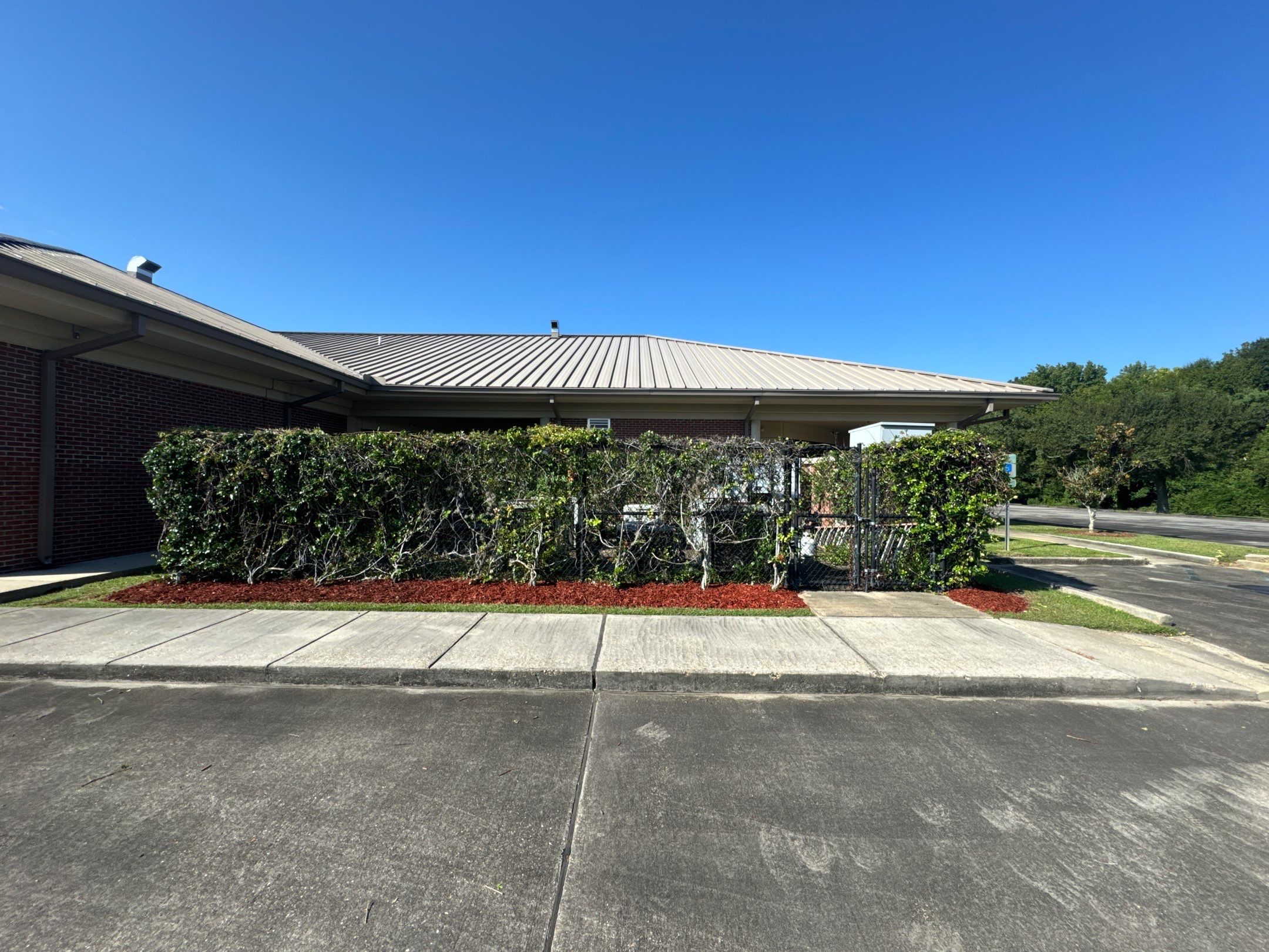 COMMERCIAL: BED CLEAN / MULCH INSTALL  by CutScape, LLC.