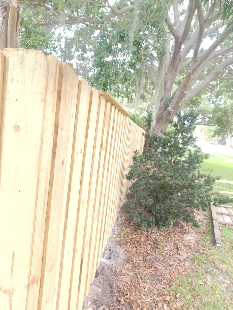 Sarasota, FL 6ft. Tall Treated Board on Board Wood Fence by Asap fence and gates, LLC