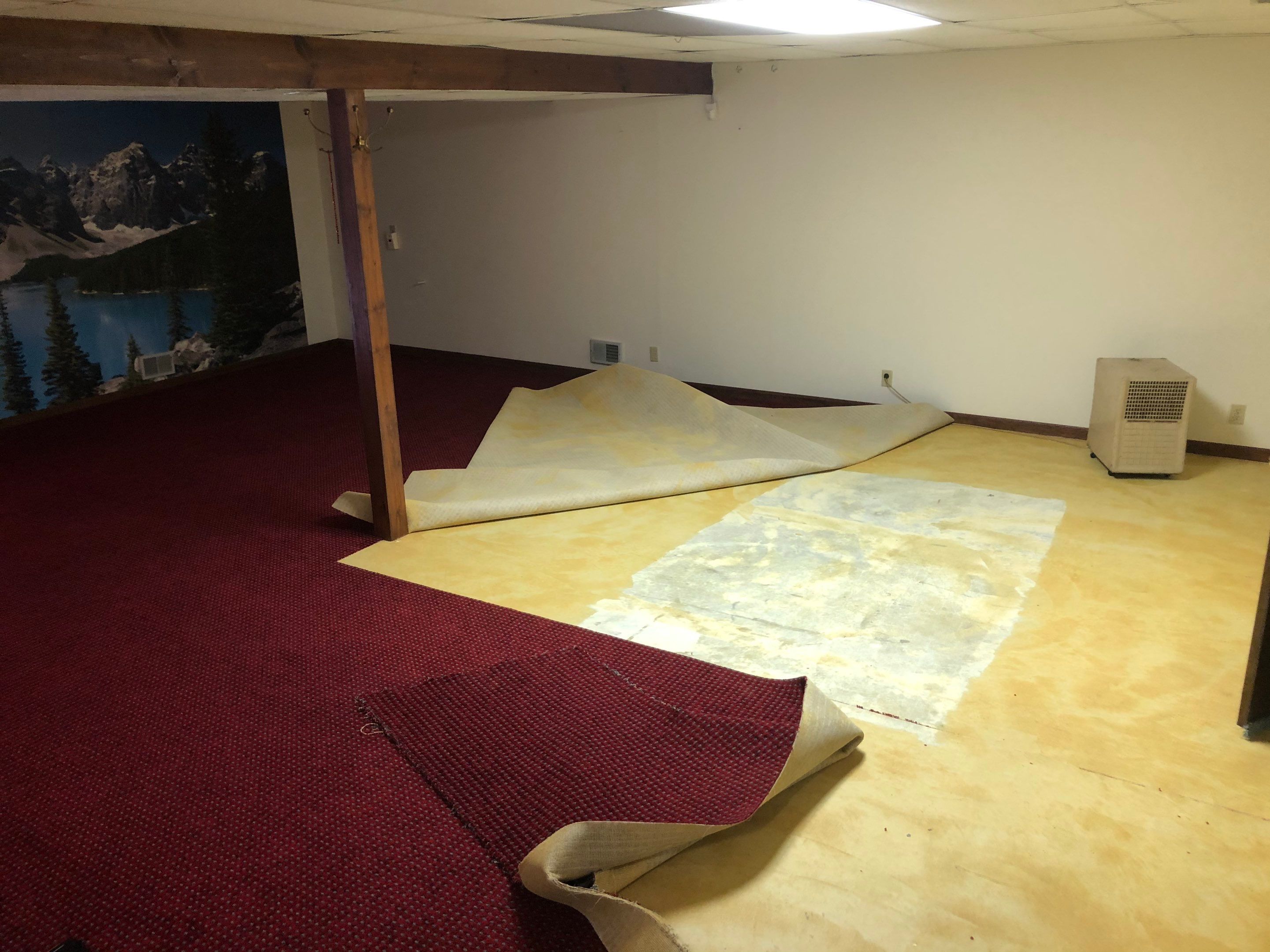 Basement in Domino - Girard, OH by Alexander Concrete Coatings