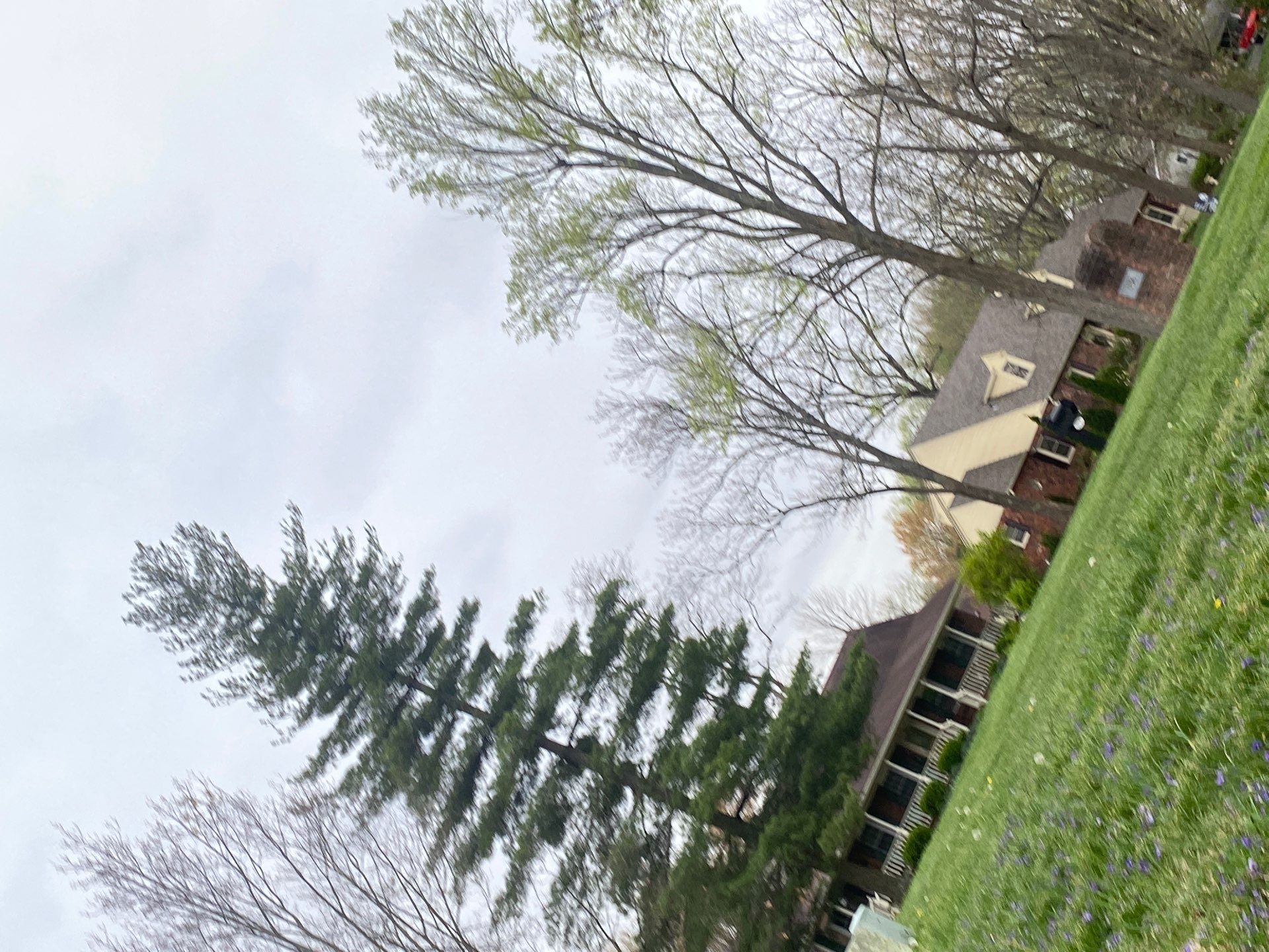 Insurance Replacement by Storm Contracting