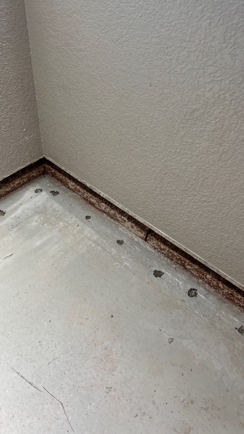 Mold Remediation  by Accountable Home Services