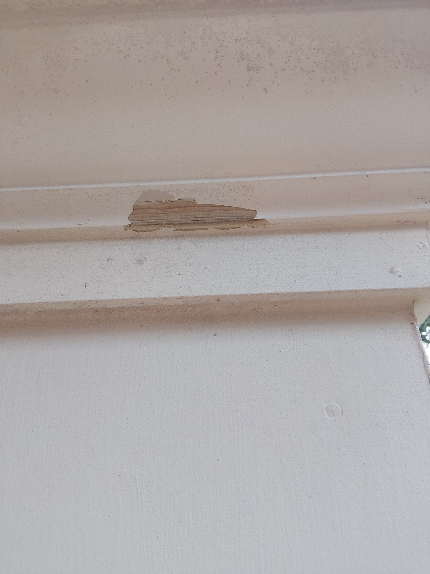2nd-Story Exterior Trim Paint Repair – Chesterfield, MO by Legendary Services Company LLC.