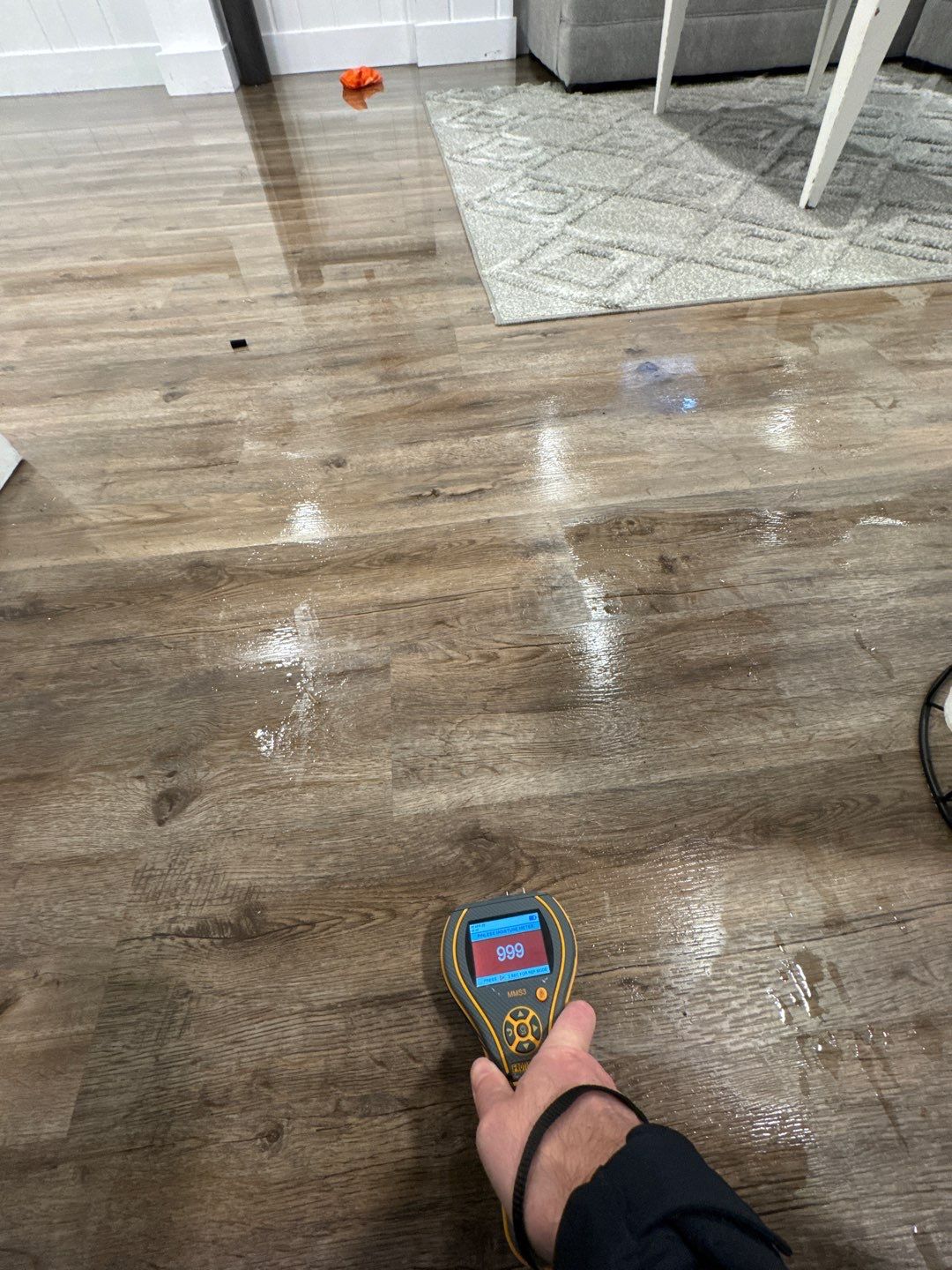 Project in Royal Oak by EzDry Water Mitigation & Property Restoration