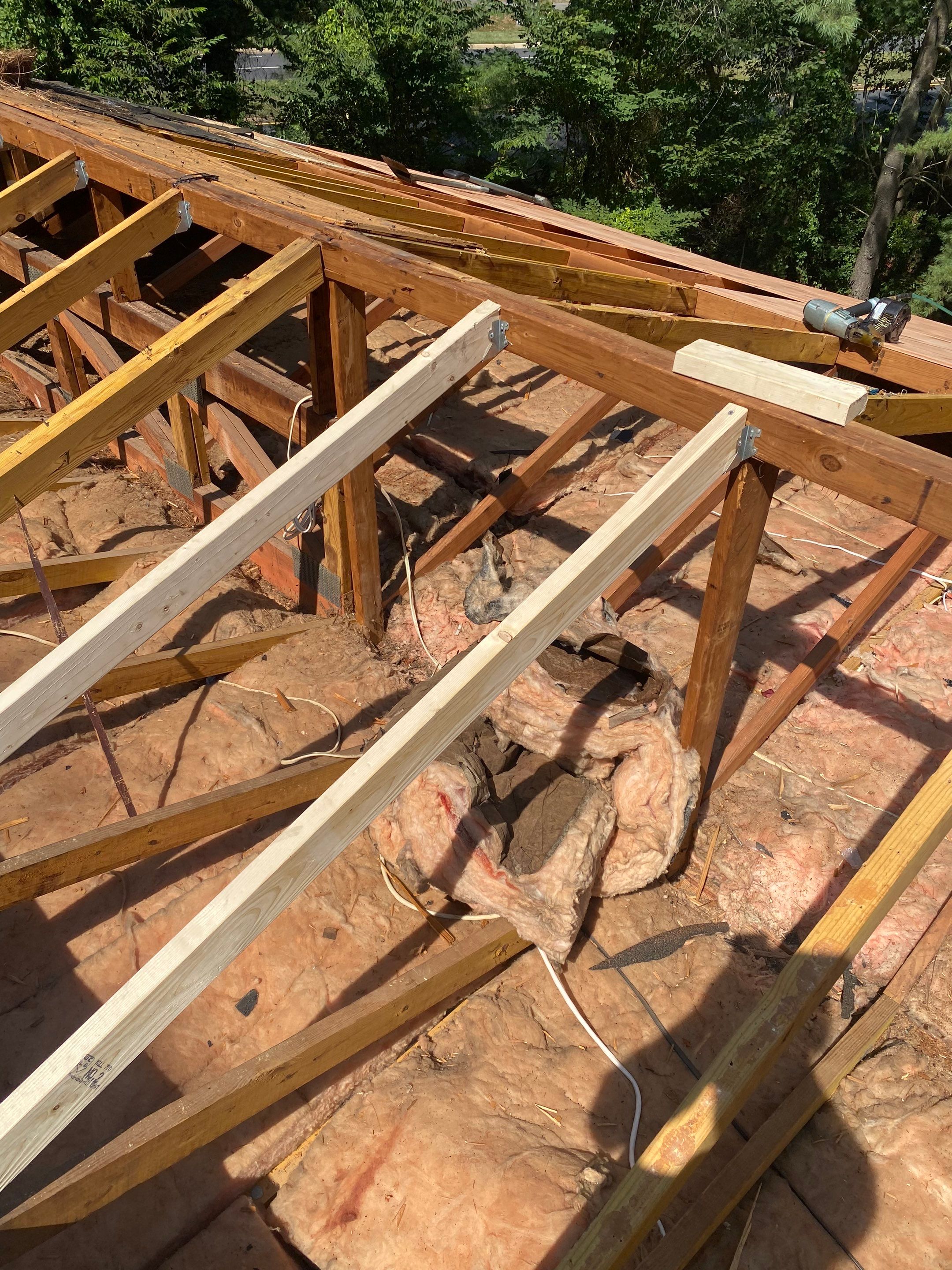 Reston: Roof Replacement with CertainTeed Landmark Pro Designer Shingles in Max Def Moire Black by RM Banning, Inc.