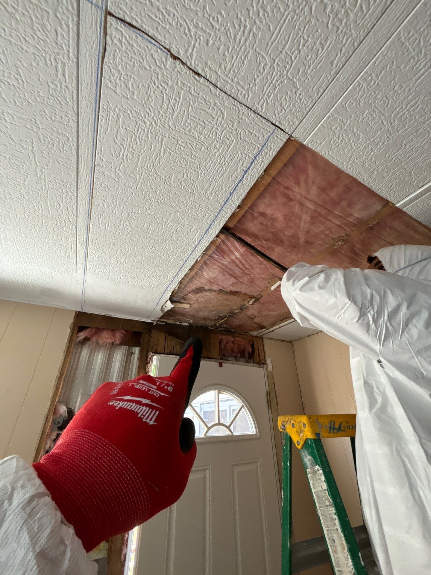 Mold Inspection And Repair In Bradenton by Ampm Restoration Services