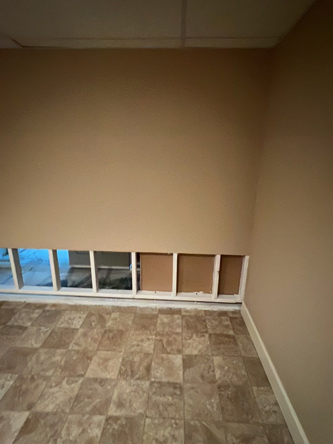 Mold Damage by Accountable Home Services