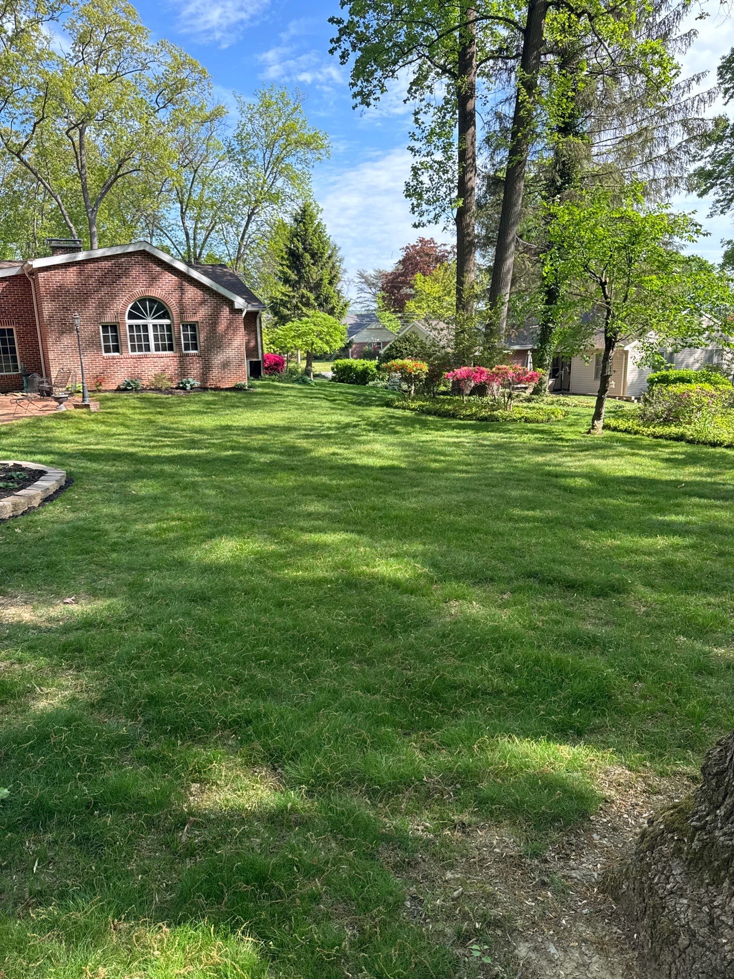 East York Pa by Go Green CLC