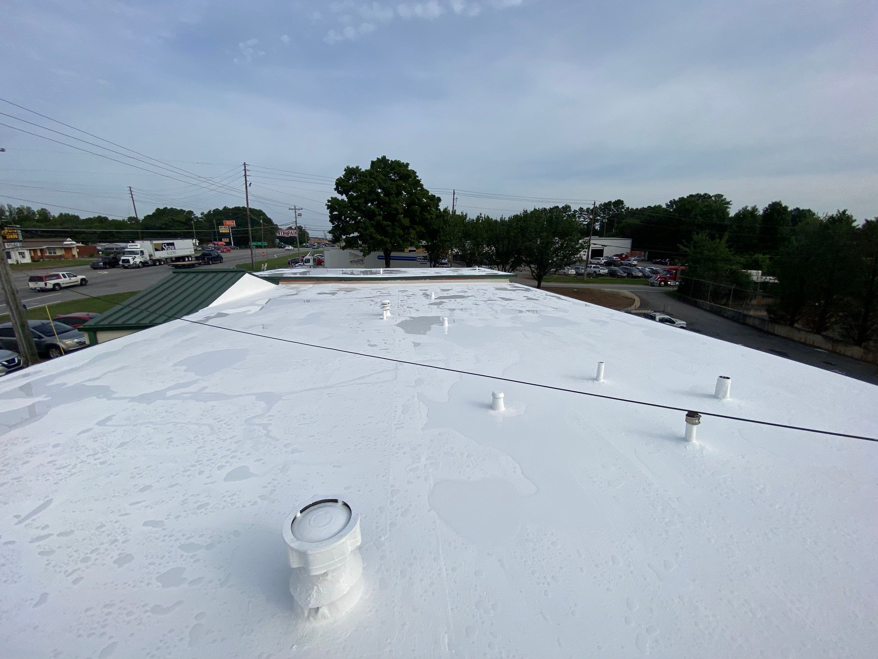 Metal Coating and Skylight Protection by Georgia Roof Advisors