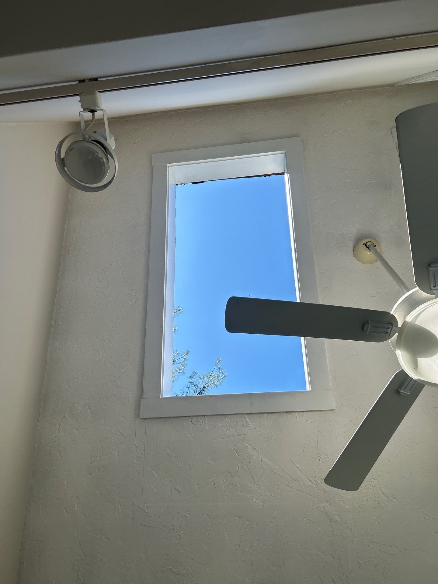Skylights | Acton by Mighty Dog Roofing of Greater Middlesex County
