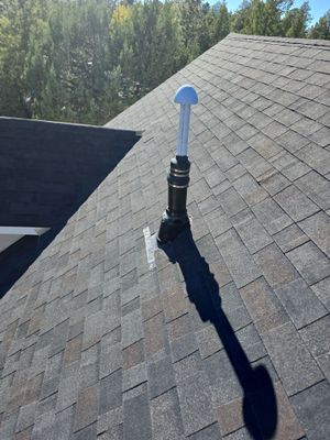 Black Oak in Lakeside