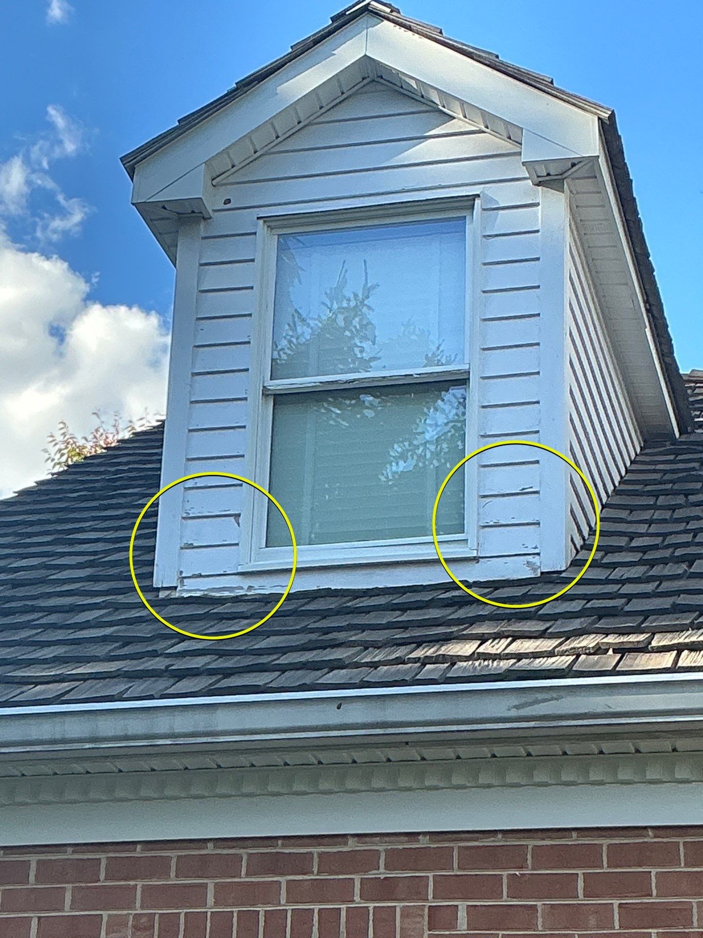 Johanna's Home in Newtown by Window Guardians