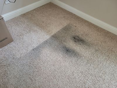 Black Staining, Carpet Cleaning