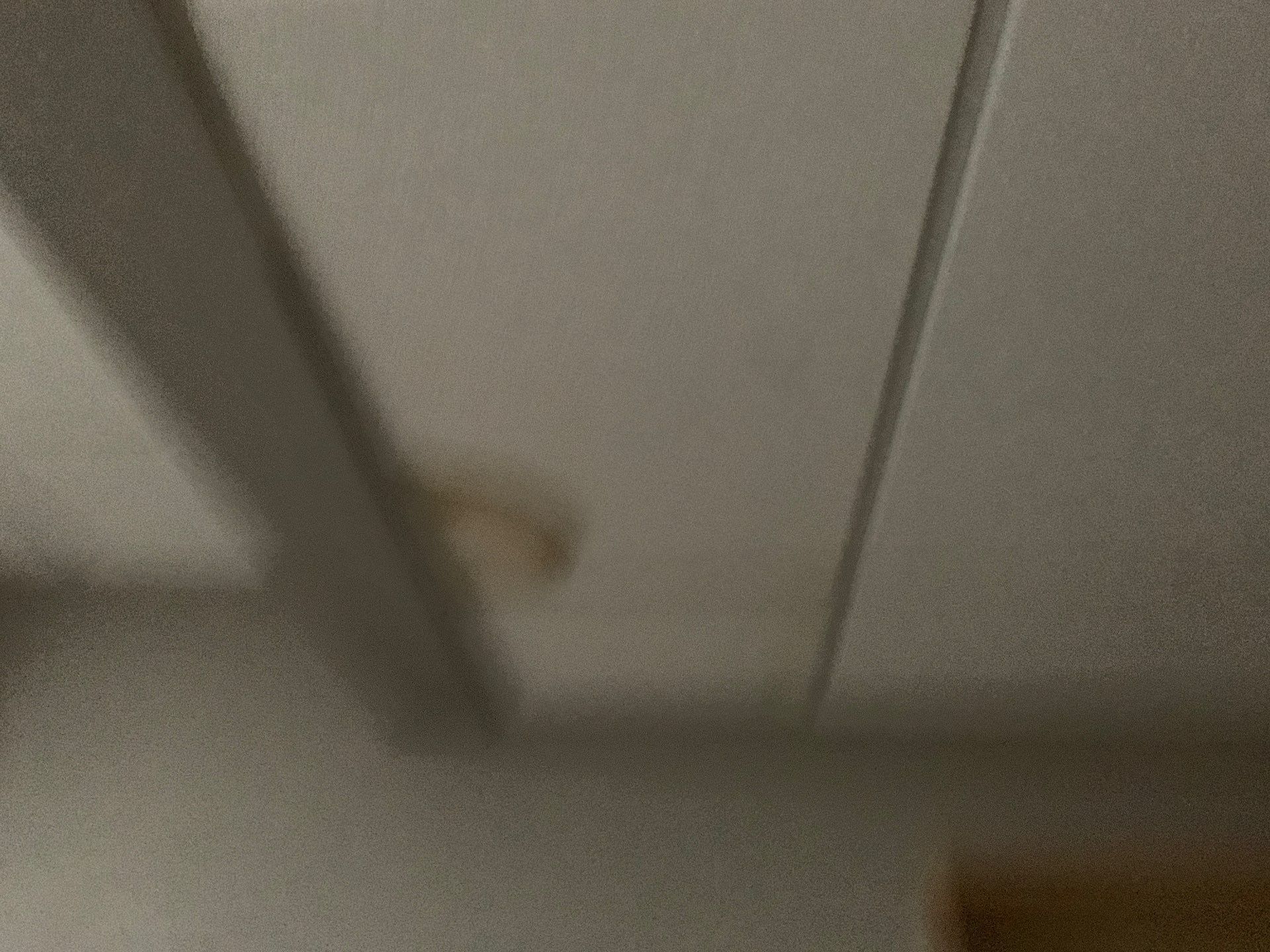 Drywall Remodel  by Crown Royalty Management 