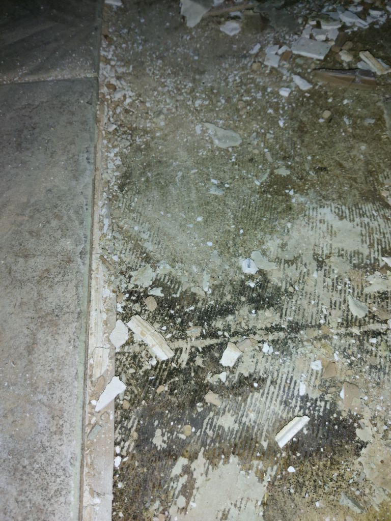 Mold Remediation in Kitchen by Accountable Home Services