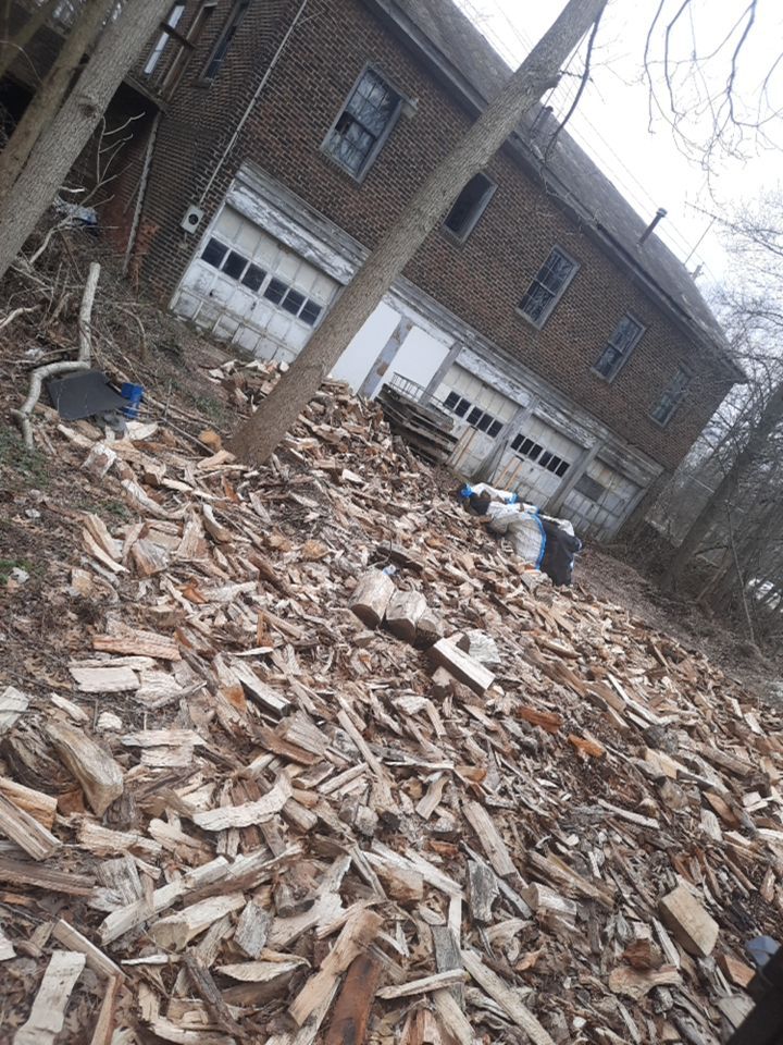 Tree Removal using Tree Removal by Mike Jones & Sons Tree Service LLC 