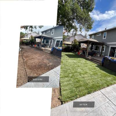 Project in Danville