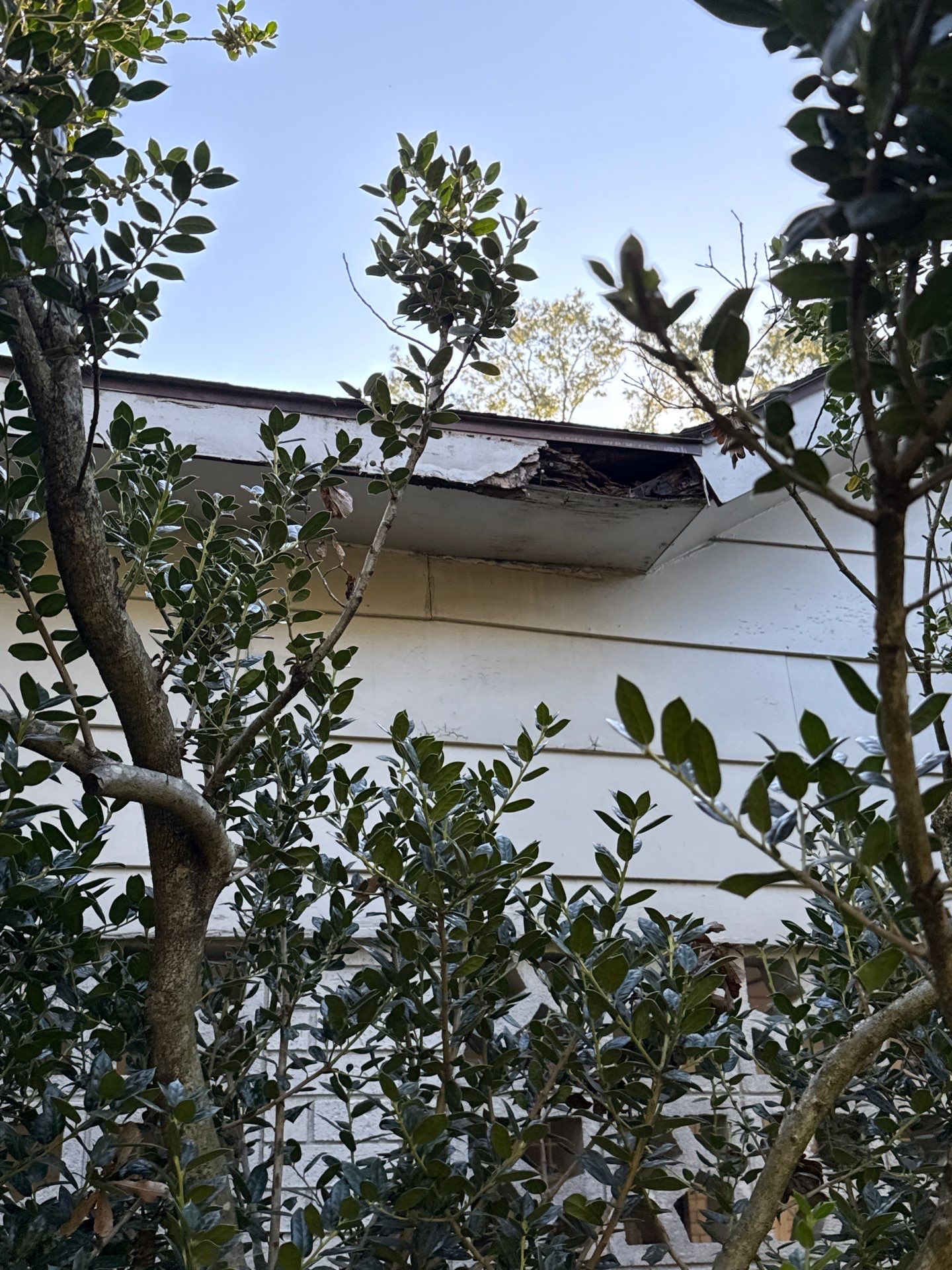 Roof replacement by In & Out Construction & Remodeling, LLC
