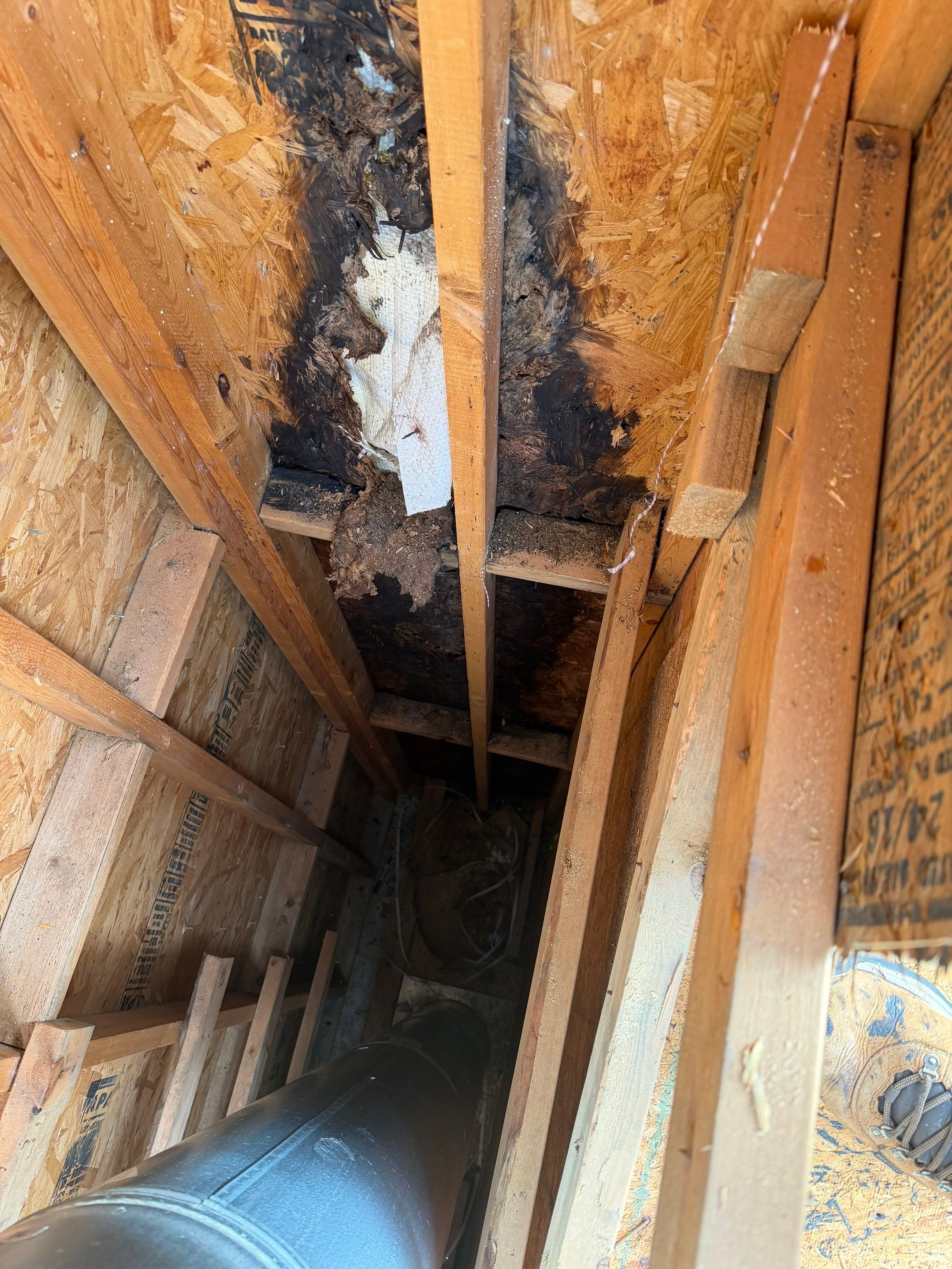 Roof Replacement in Plant City, FL by Shingle Masters Roofing