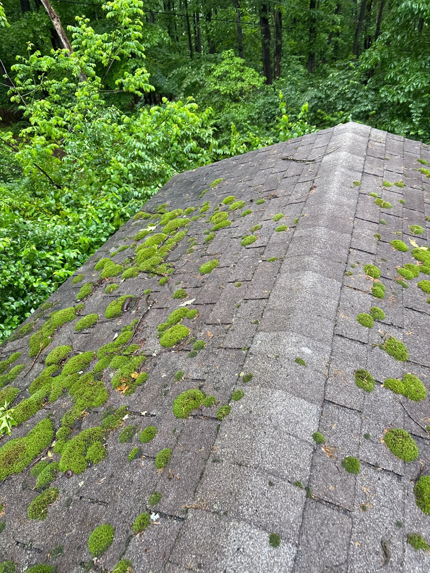 Paul Vidunas Full Shingle Roof Installation by Good Hands Roofing