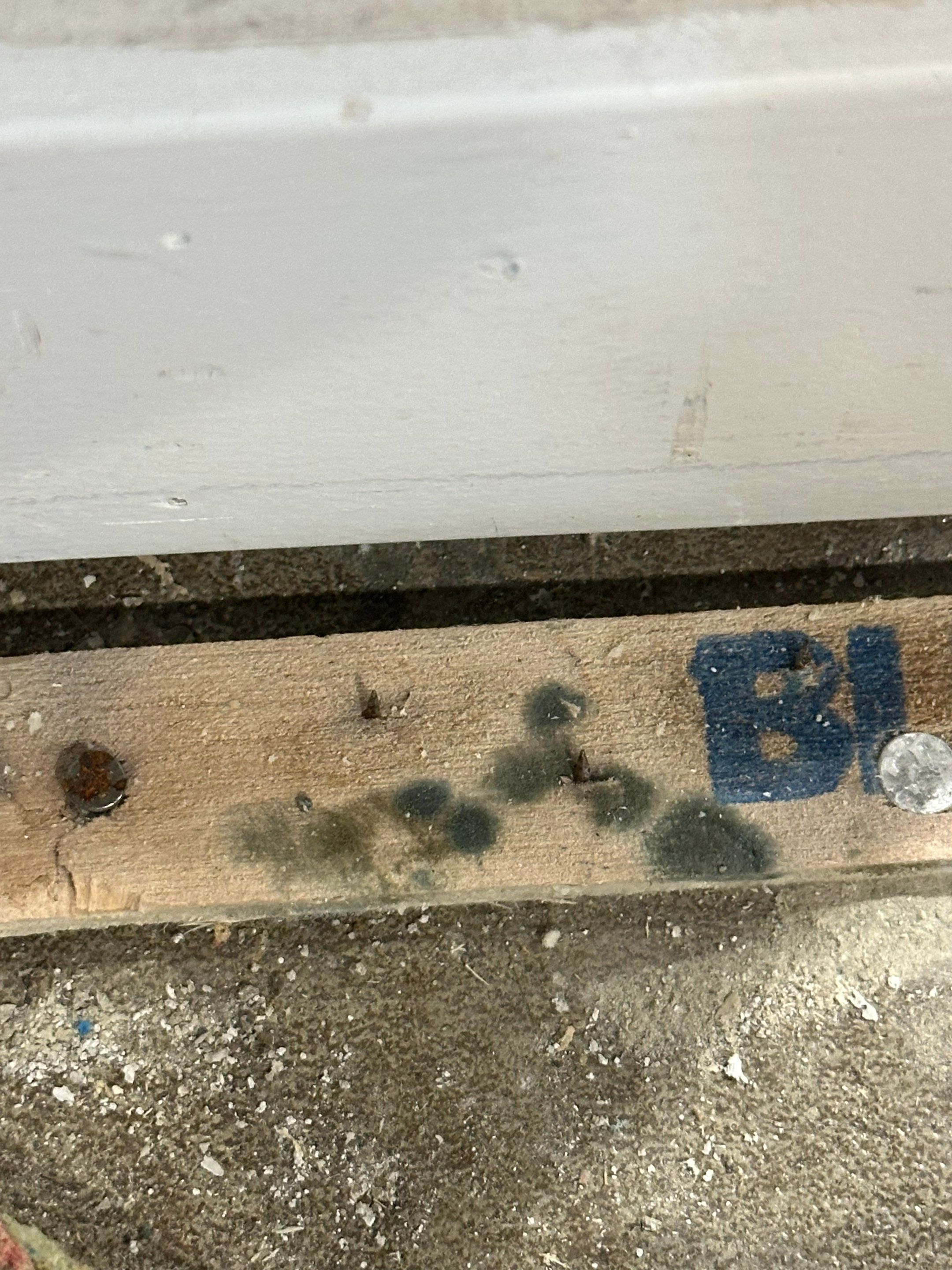 Basemen Oder removal with mold remediation and carpet pad replacement by BlueRed Restoration