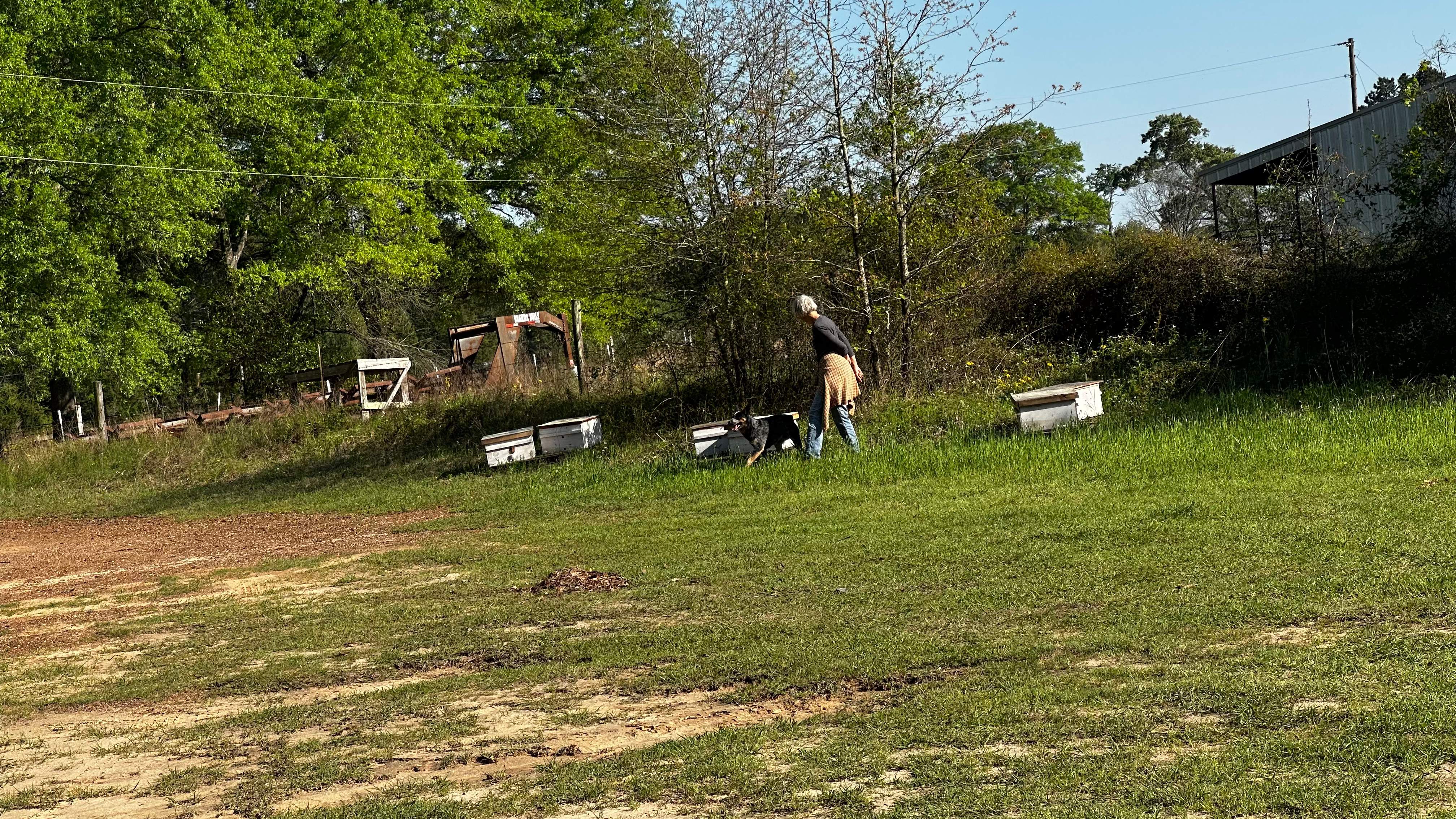 BeeGirl ETX HQ by Rockwall Honey Bee Company