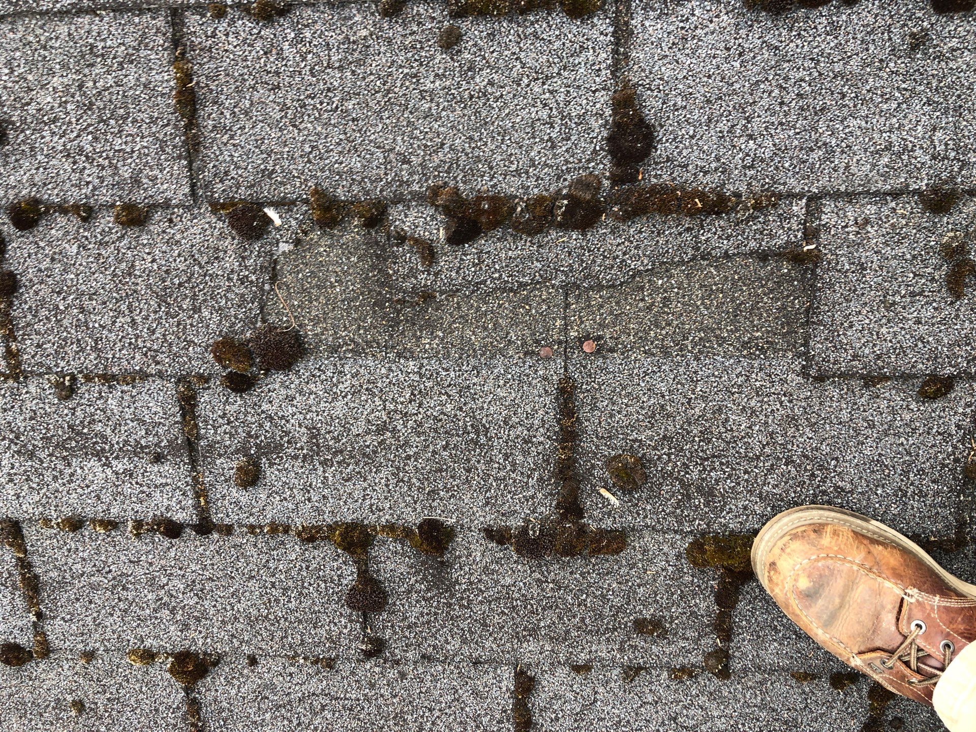 Project in Seattle by Connolly Construction Company