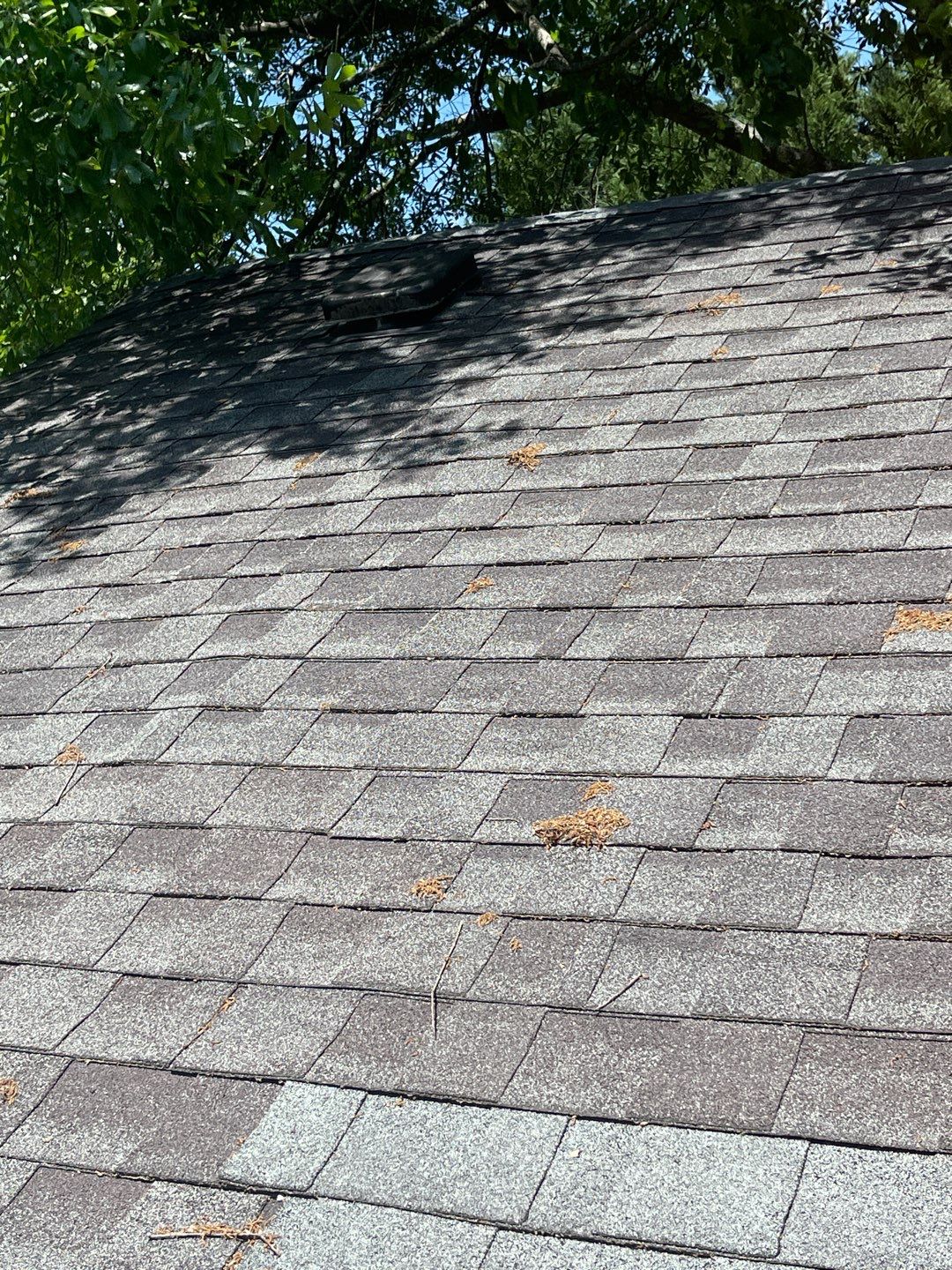 roof replacement and new black gutters by Nailed It Roofing & Remodeling LLC