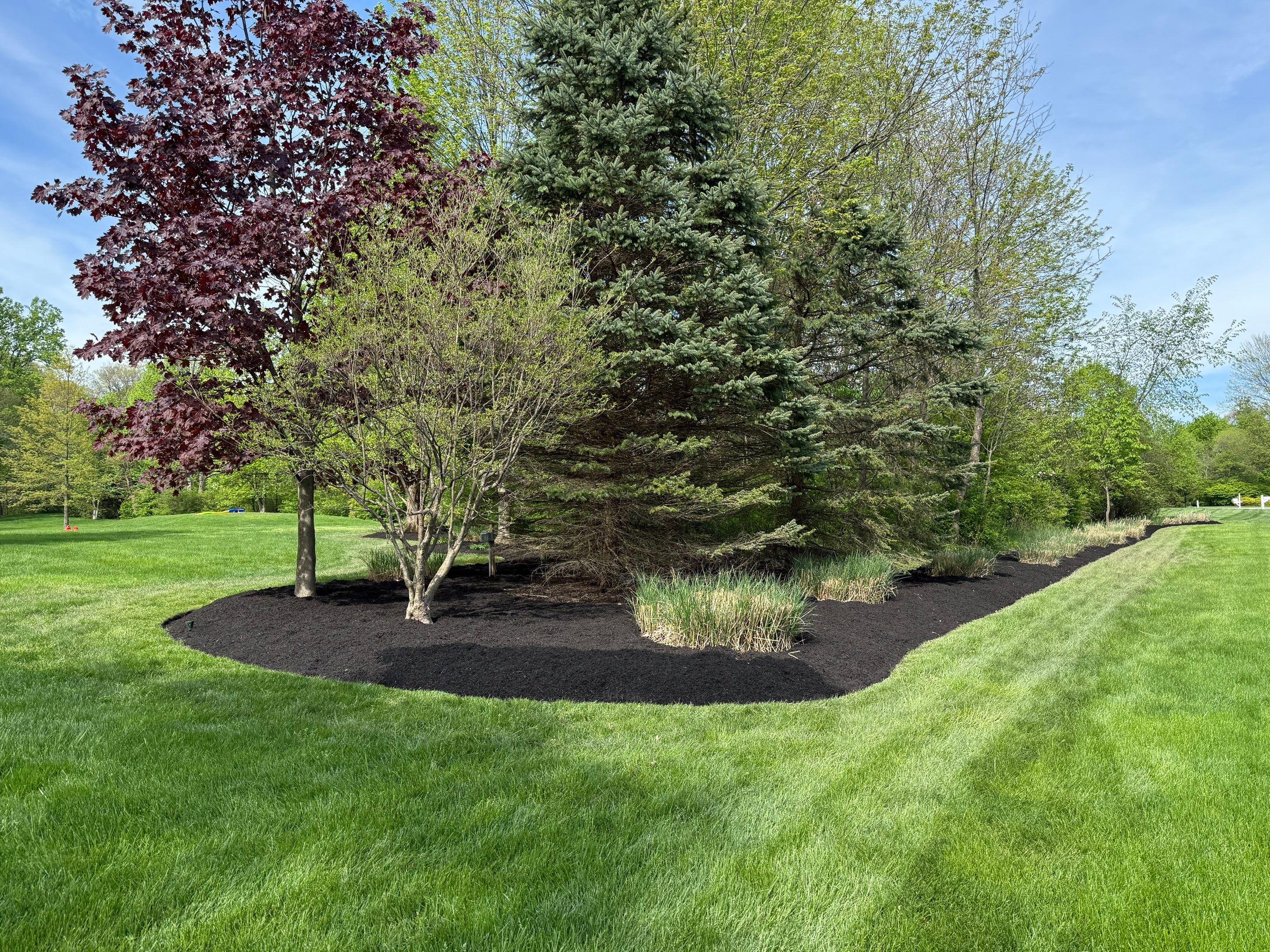 Acreage Maintenance Project by Elm Rose Gardens