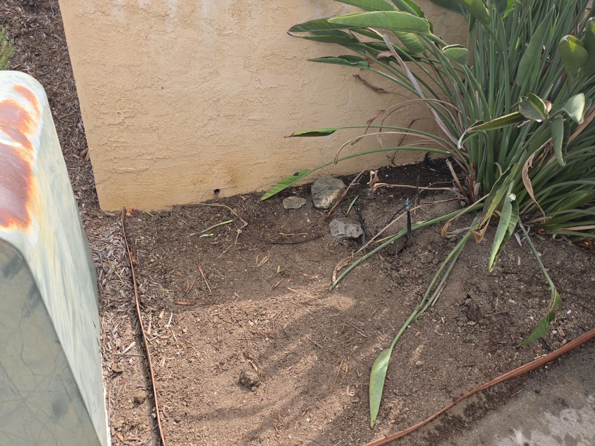 Hand Removal & Site Preparation Project by Yard Techs