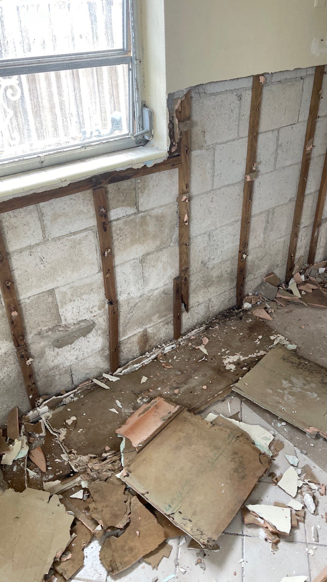 Mold Remediation  by THE RAPID TEAM