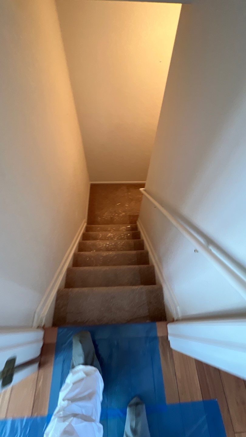 Mold Damage by Accountable Home Services