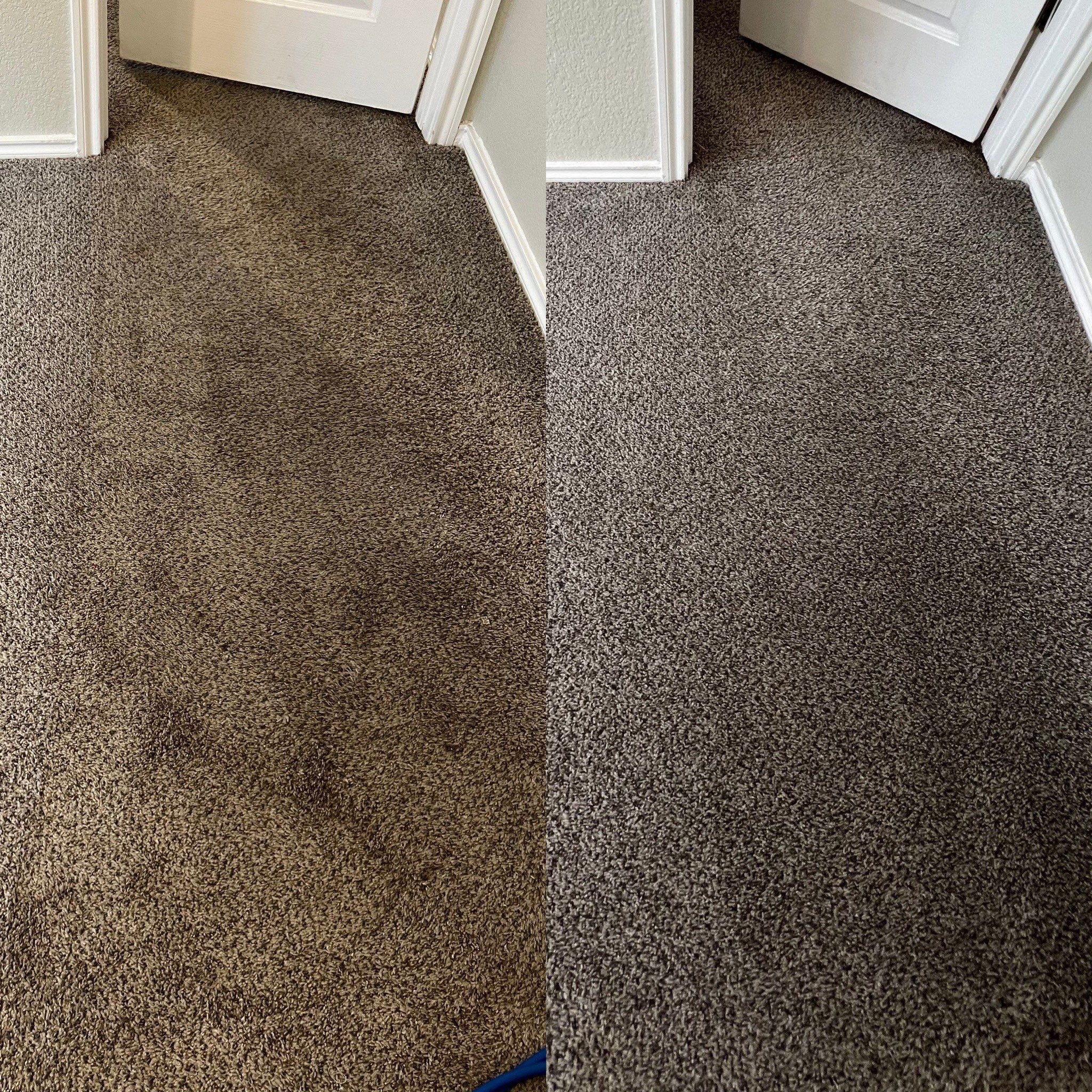 the service being done is carpet cleaning making the surface appear much cleaner and refreshed on the right side