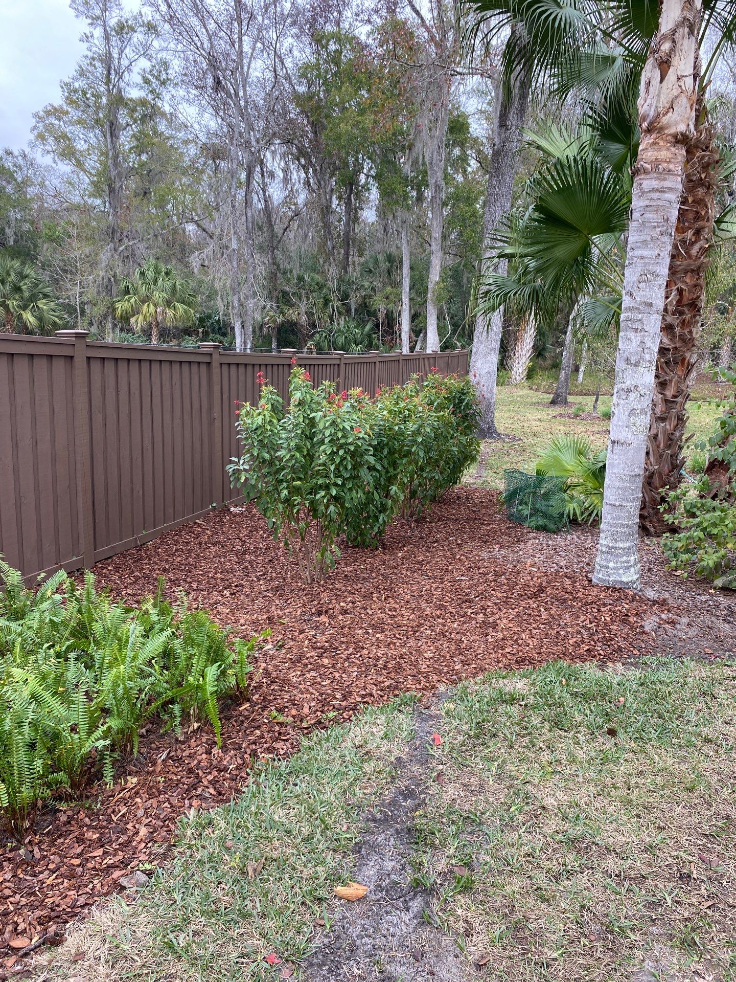 Deerwood Resident | Landscape Freshen-Up Project by ProGreen Services