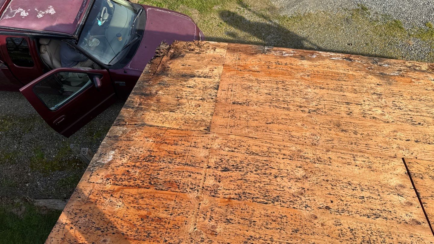 Willa Holmstock by NuLead Construction Inc