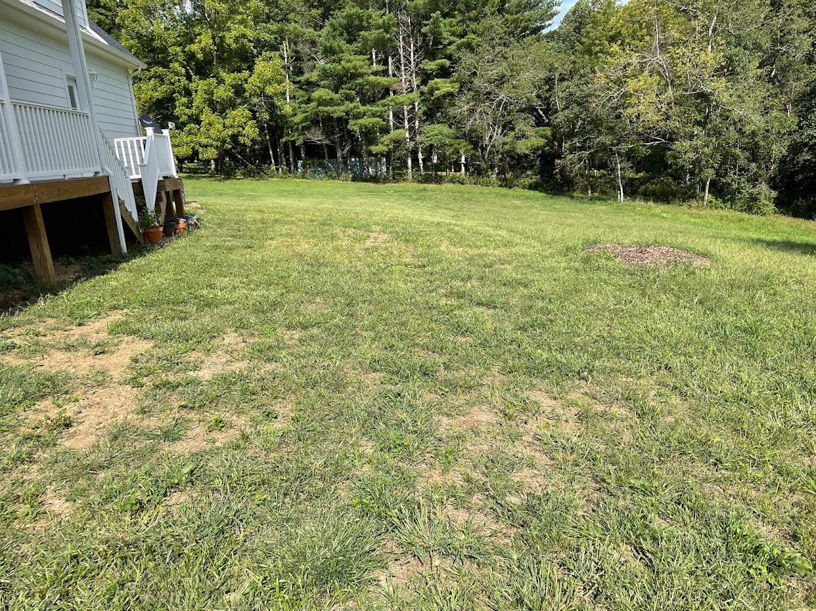 Clay street  by Back To Nature Landscaping & Construction