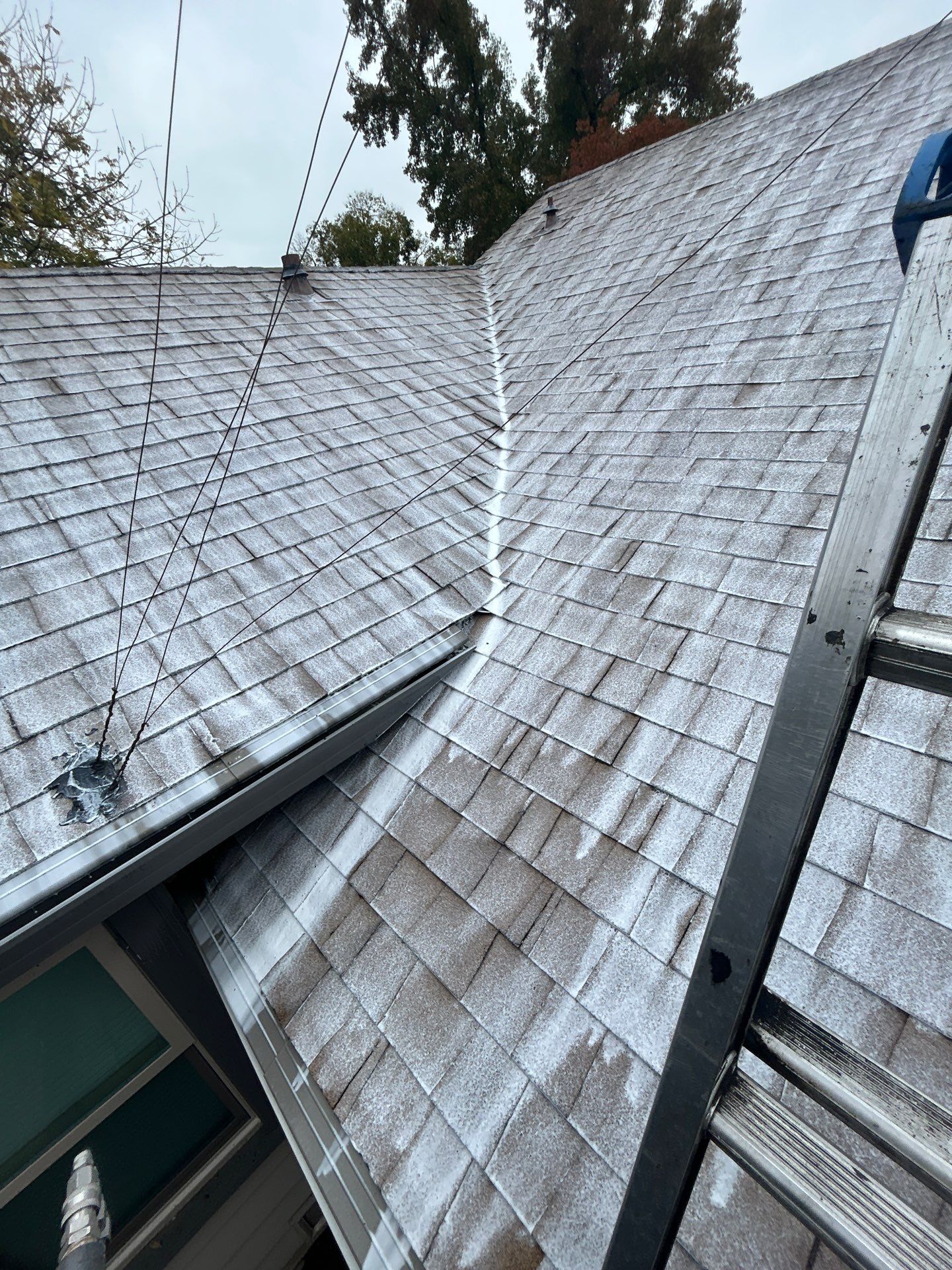 Roof Rejuvenation using Roof Maxx Treatment by Roof Maxx of Folsom