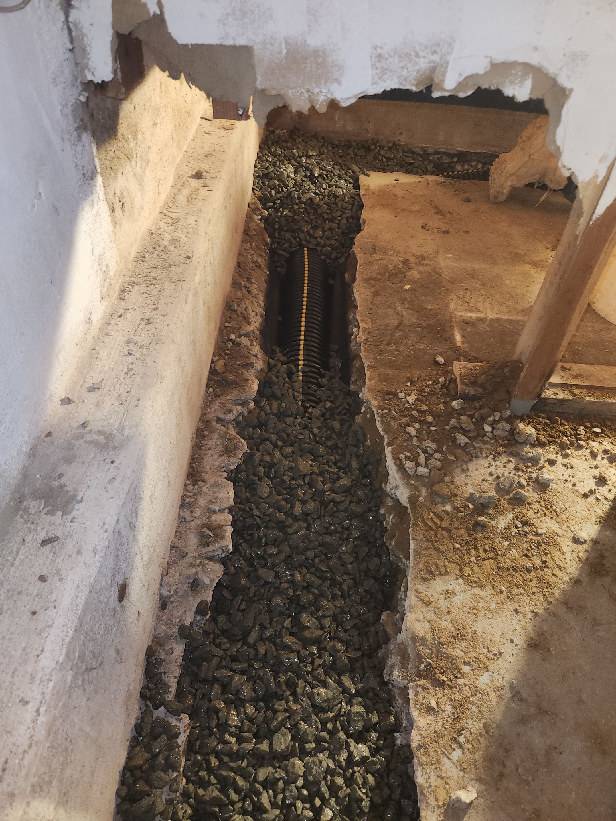 Interior French Drain & Mold Remediation in Mt Tabor NJ by Pure Service Pro, LLC 