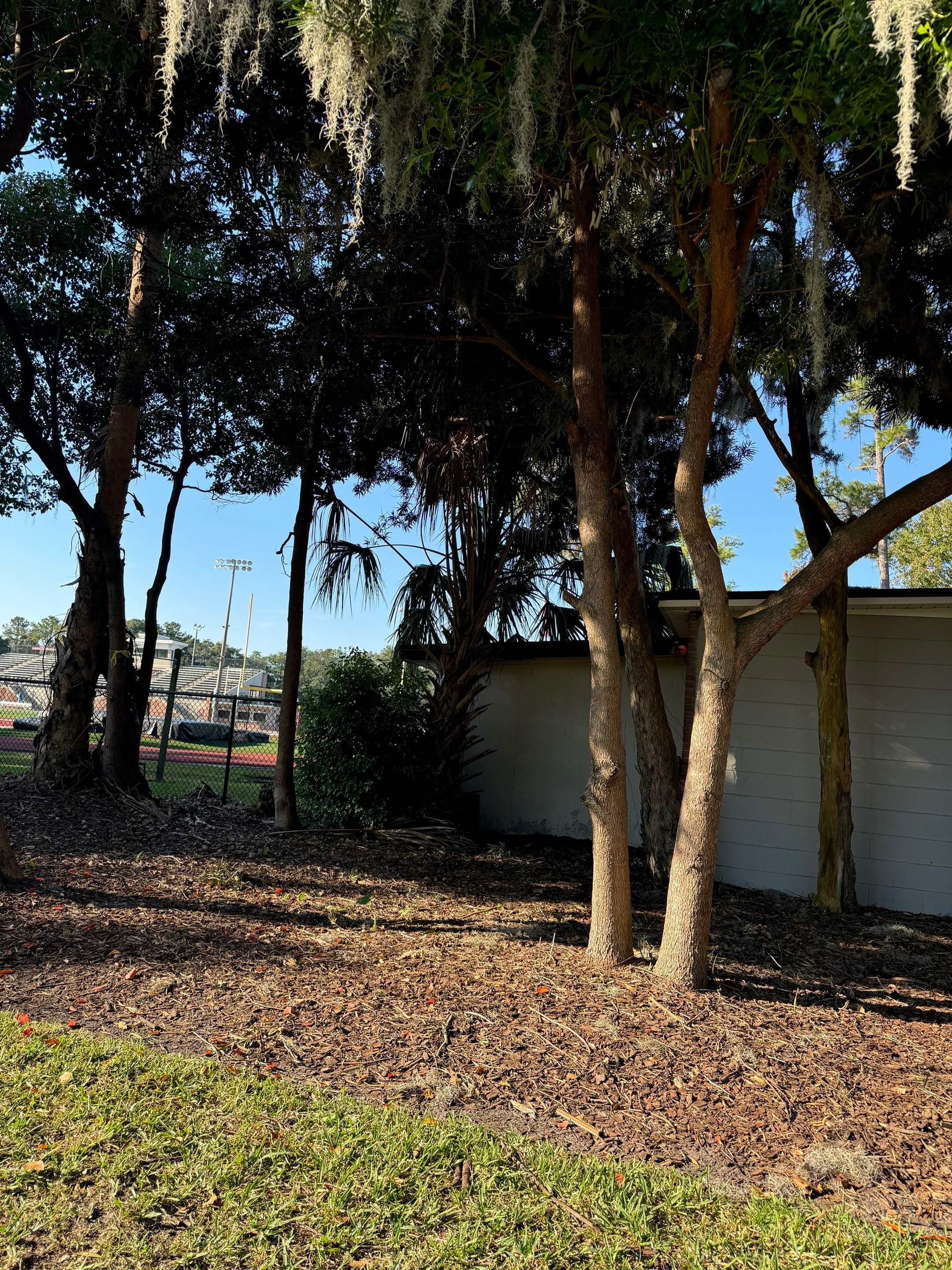 Volunteer Work | Episcopal High School of Jacksonville by ProGreen Services