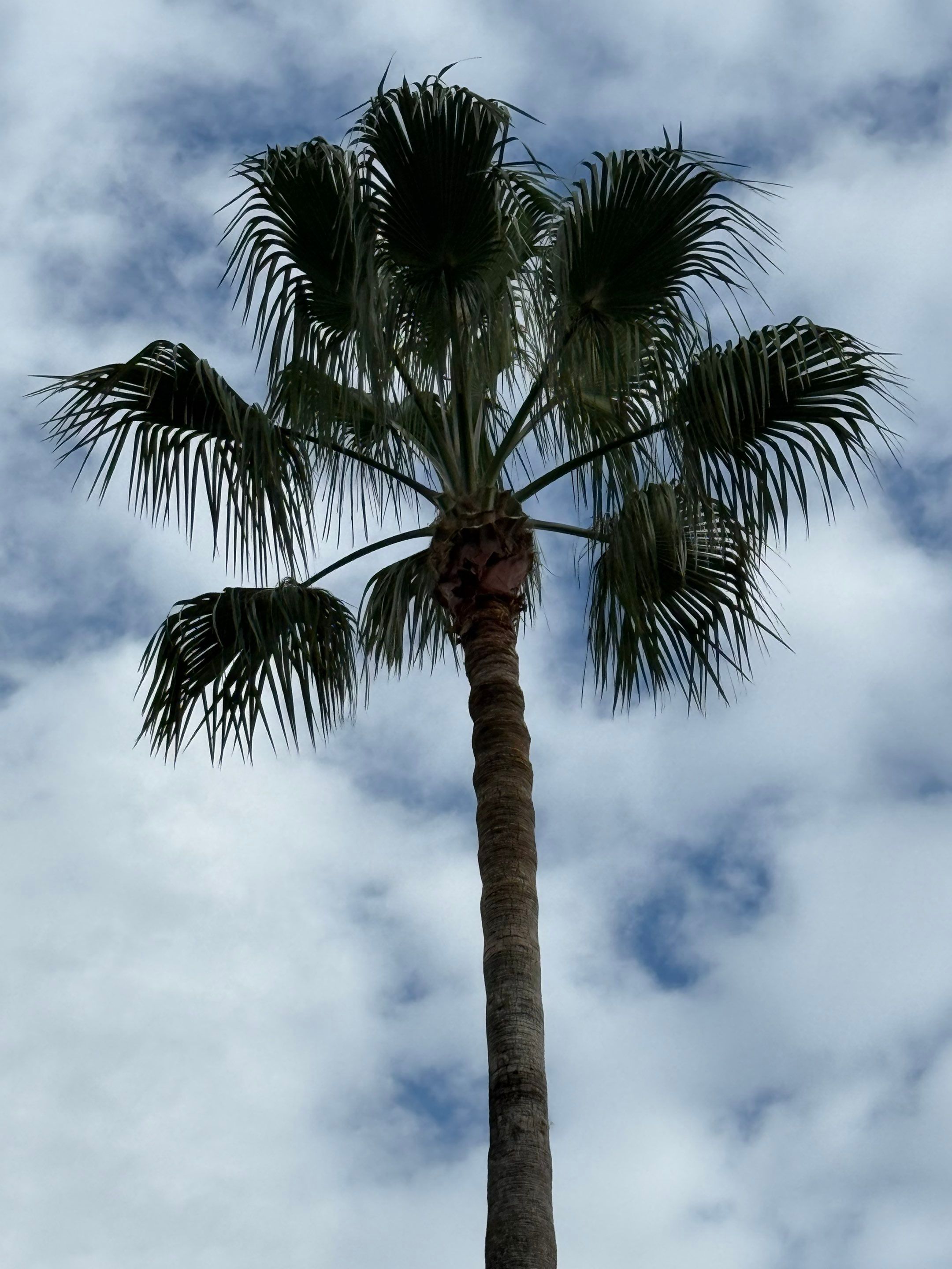 Volunteer Work | Episcopal High School of Jacksonville by ProGreen Services