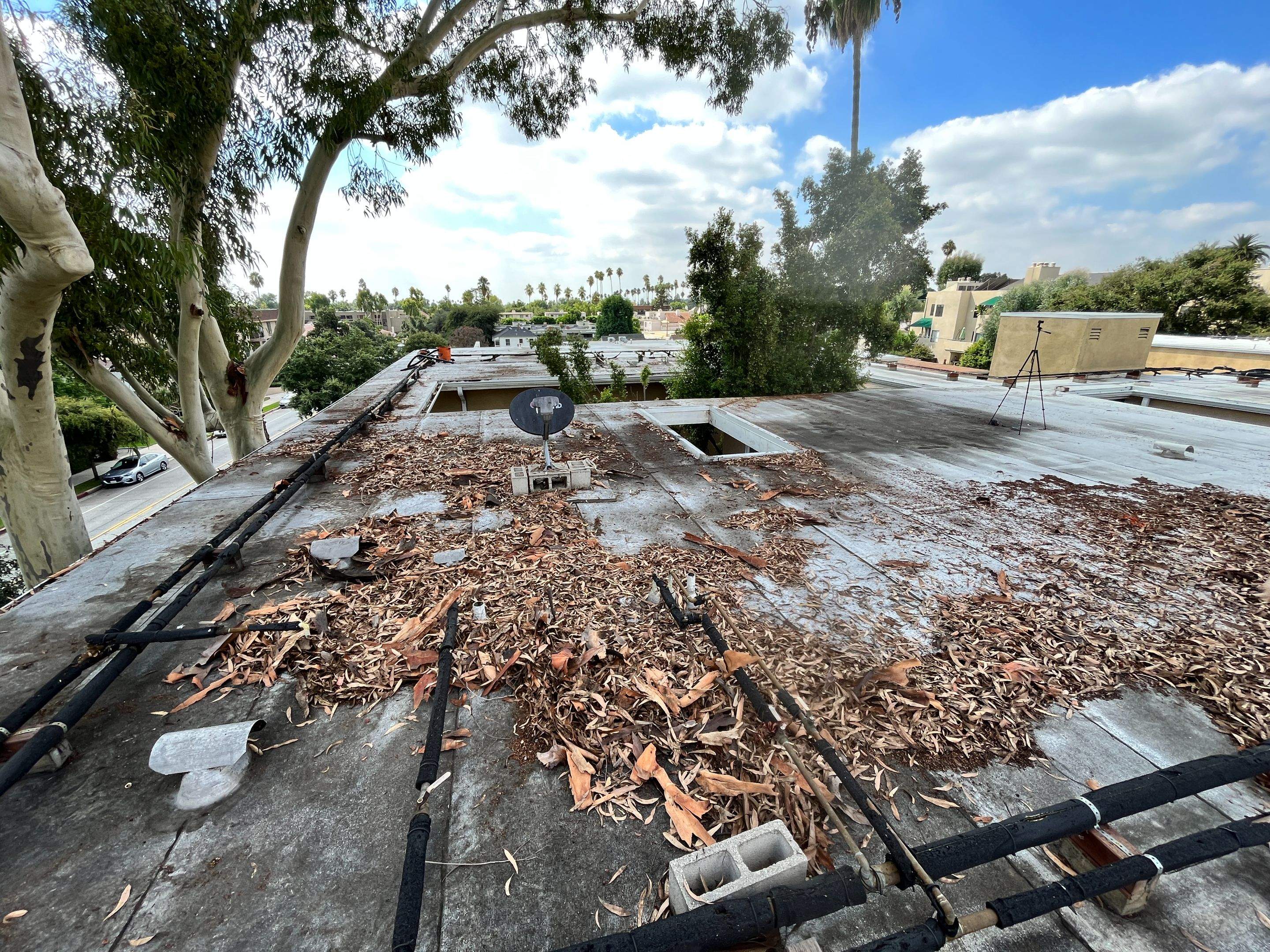 HOA Gutter Cleaning in Pasadena by Palm Coast Solar Cleaning