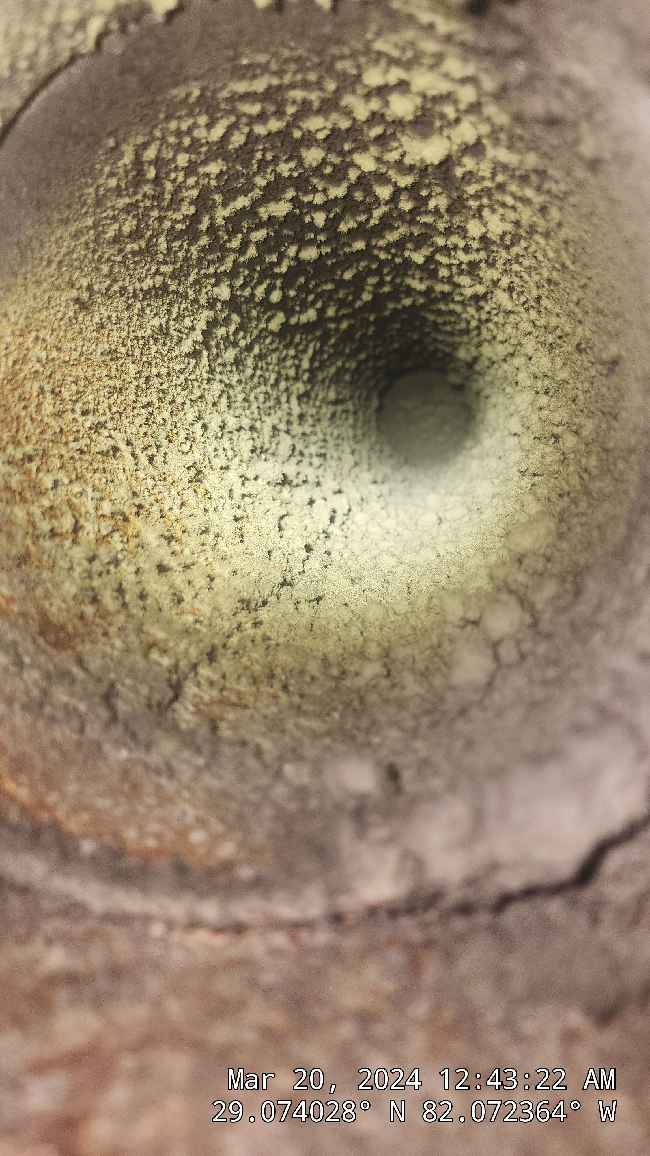 Air Duct Cleaning at Taco Bell by Hygienic Air, Inc