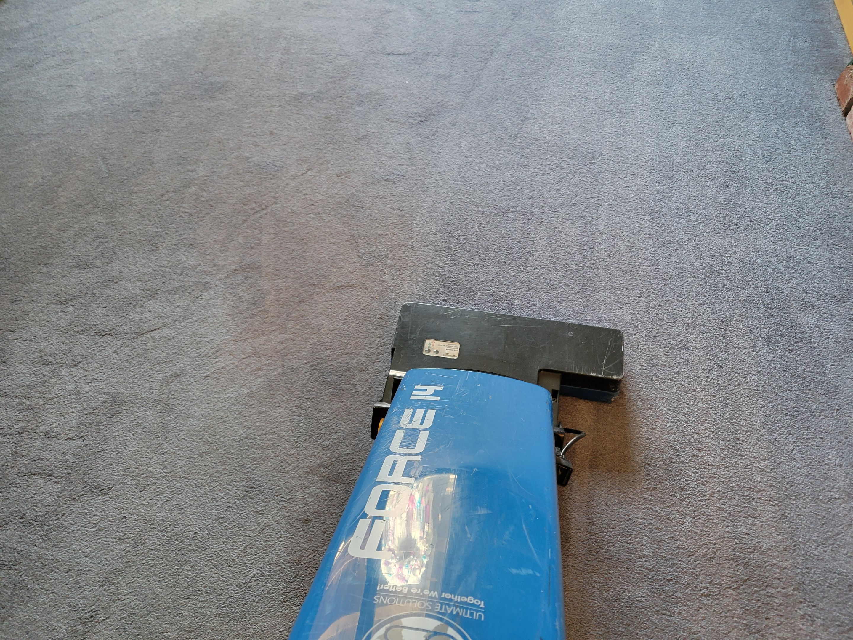 Condo Carpet Cleaning by Ardent Carpet Restore LLC