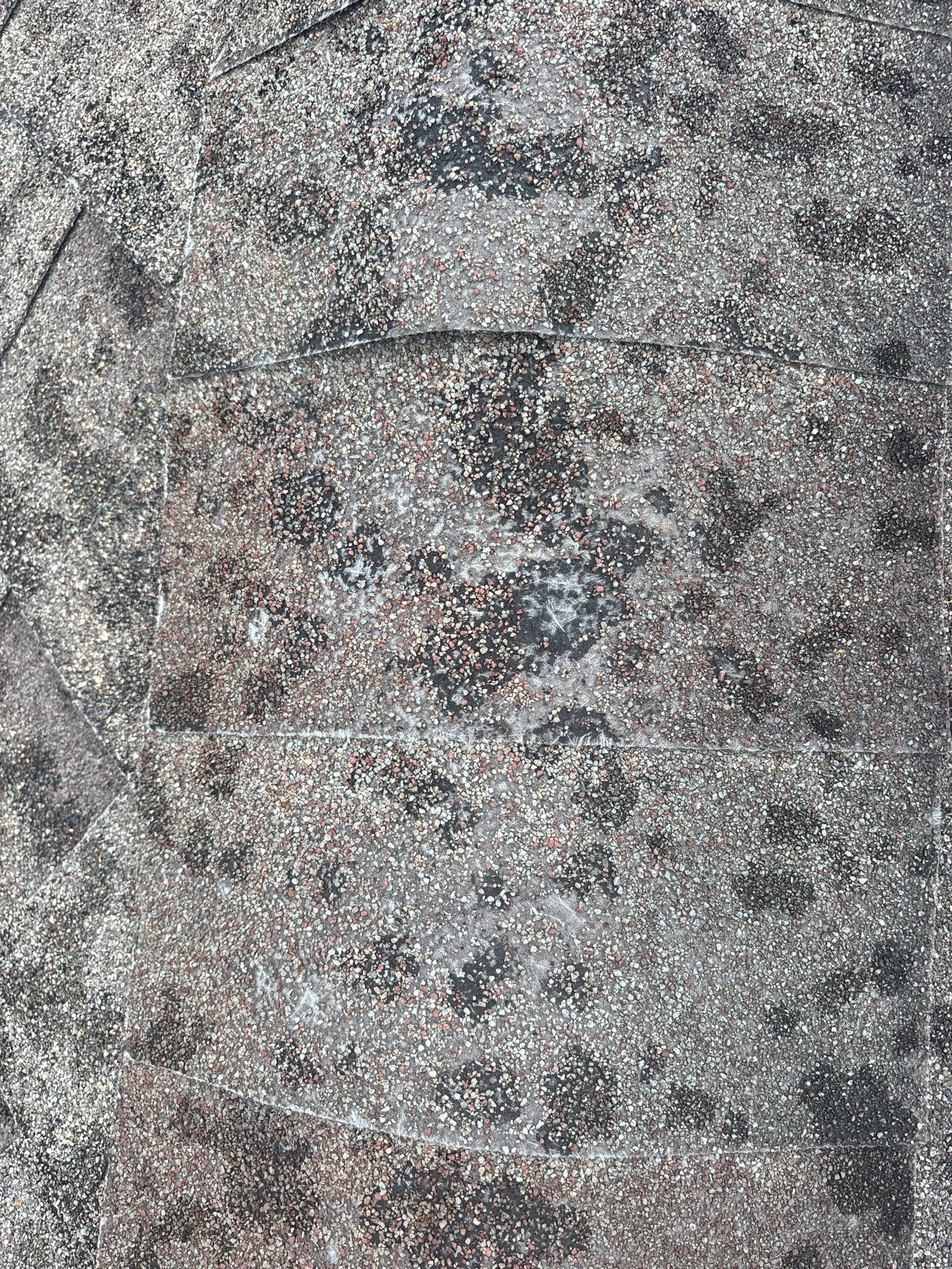 Hail Damage using Owen's Corning Duration (Lifetime) Shingles by Roof Repair Services LLC