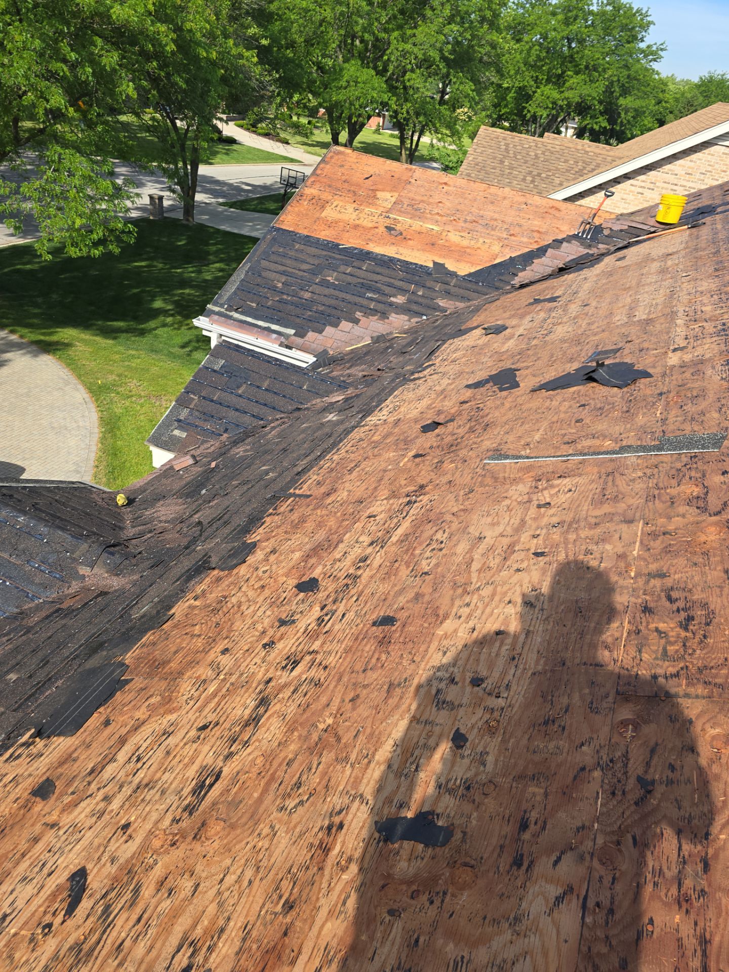 Oak Brook Architectural Shingle Roof Replacement and Velux Skylight Upgrade by Roof One